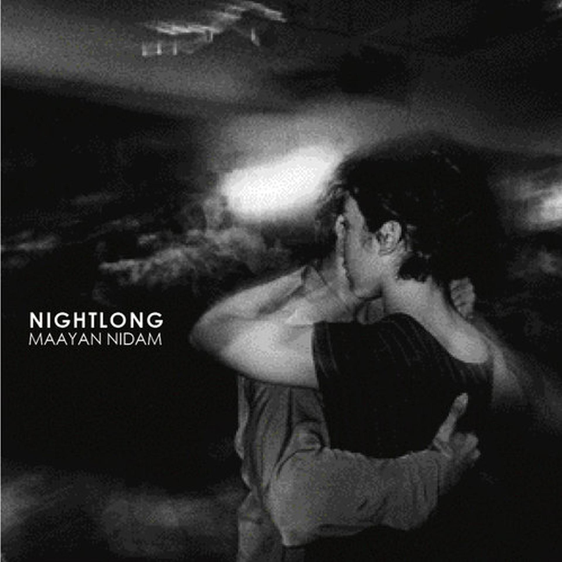 Постер альбома Nightlong