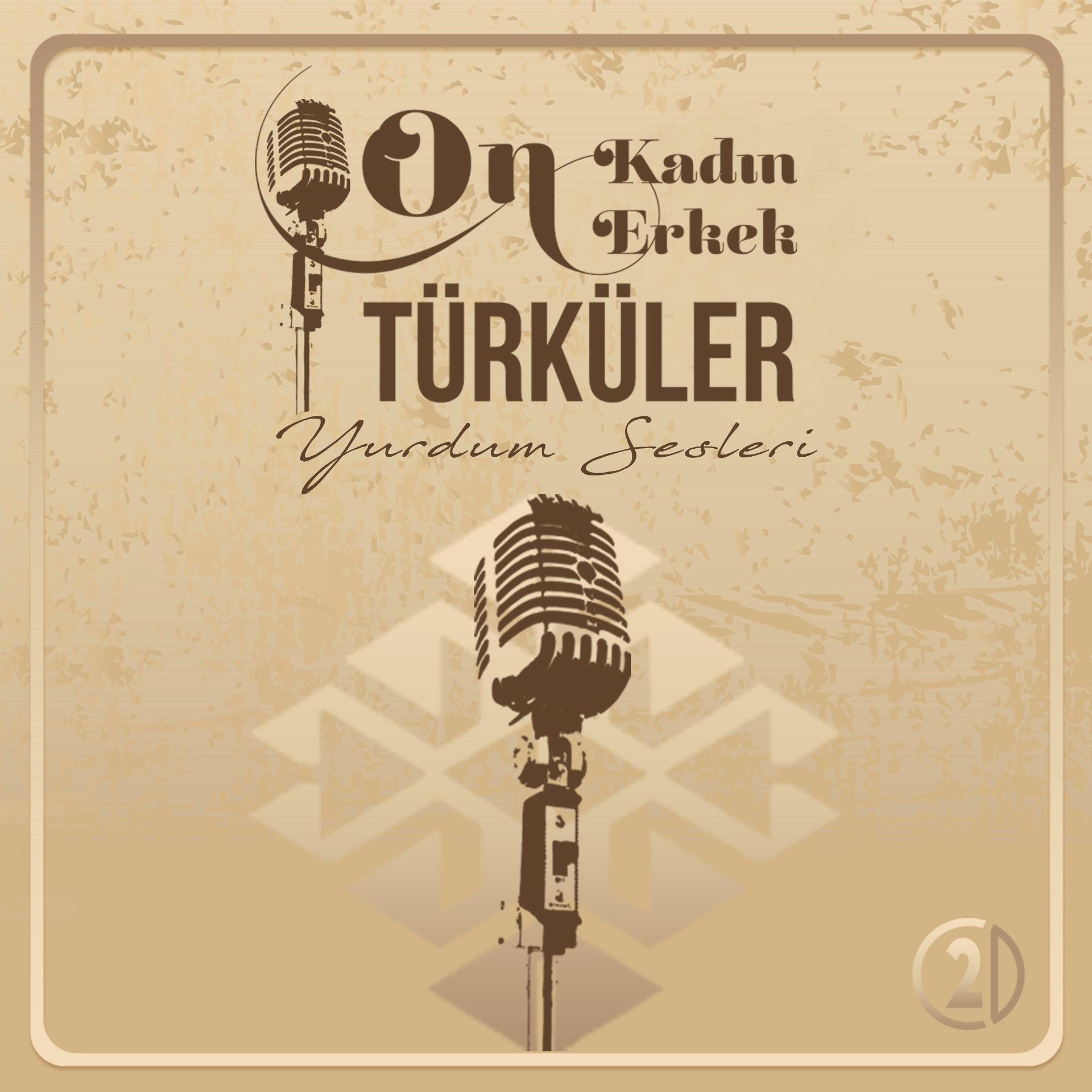 Постер альбома On Kadın On Erkek Türküler