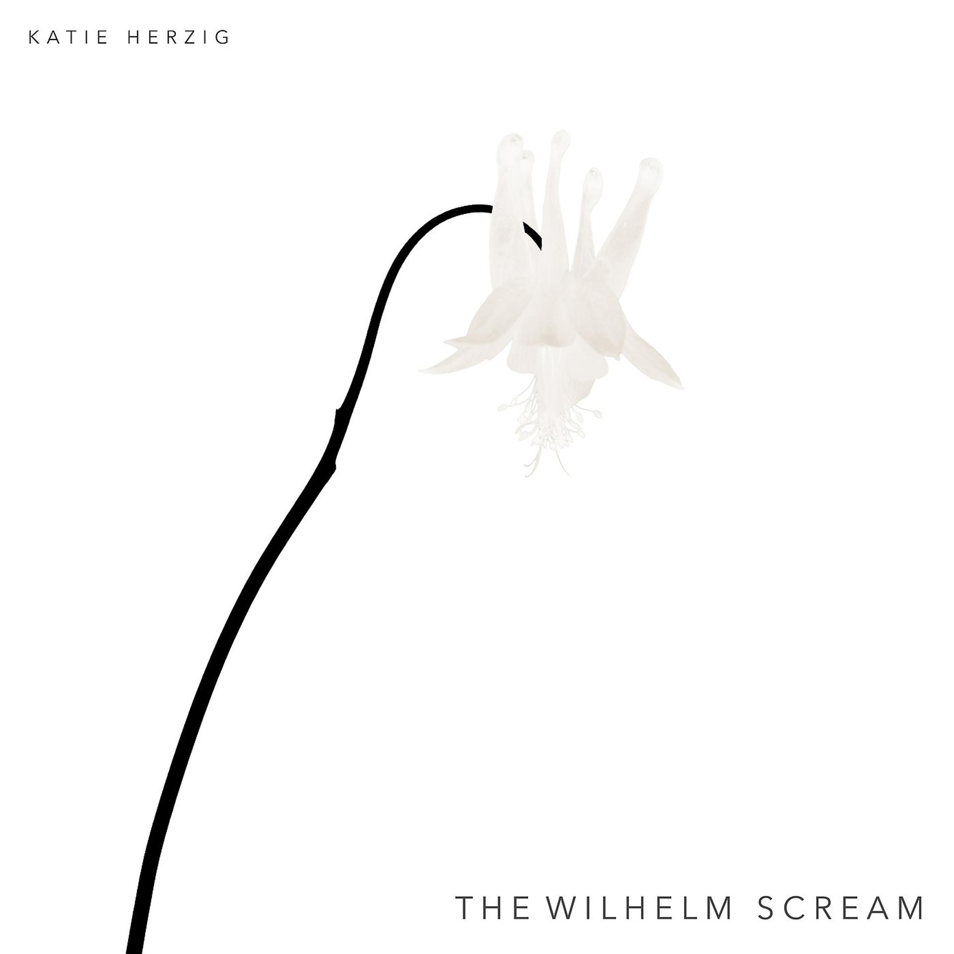 Постер альбома The Wilhelm Scream