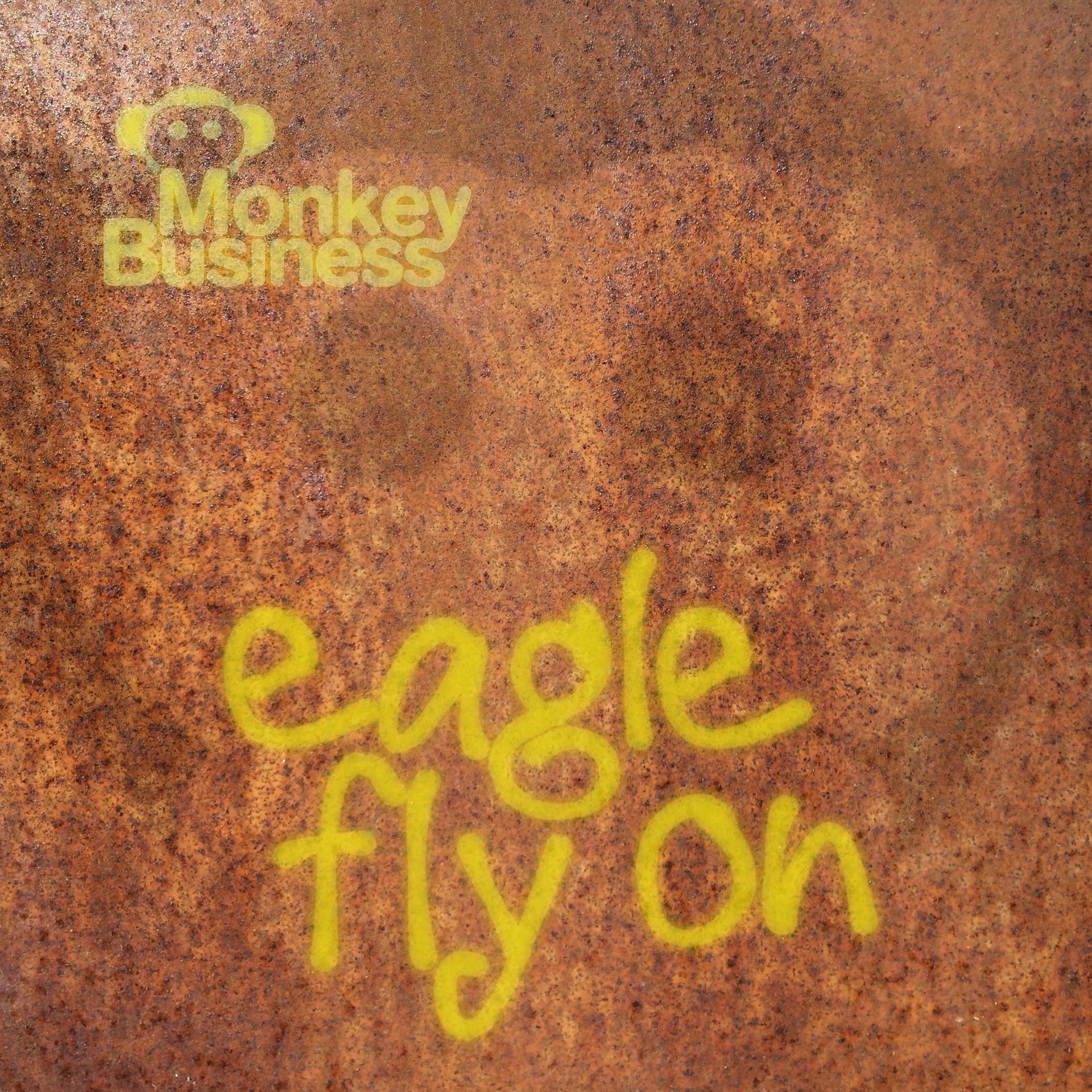 Постер альбома Eagle Fly On