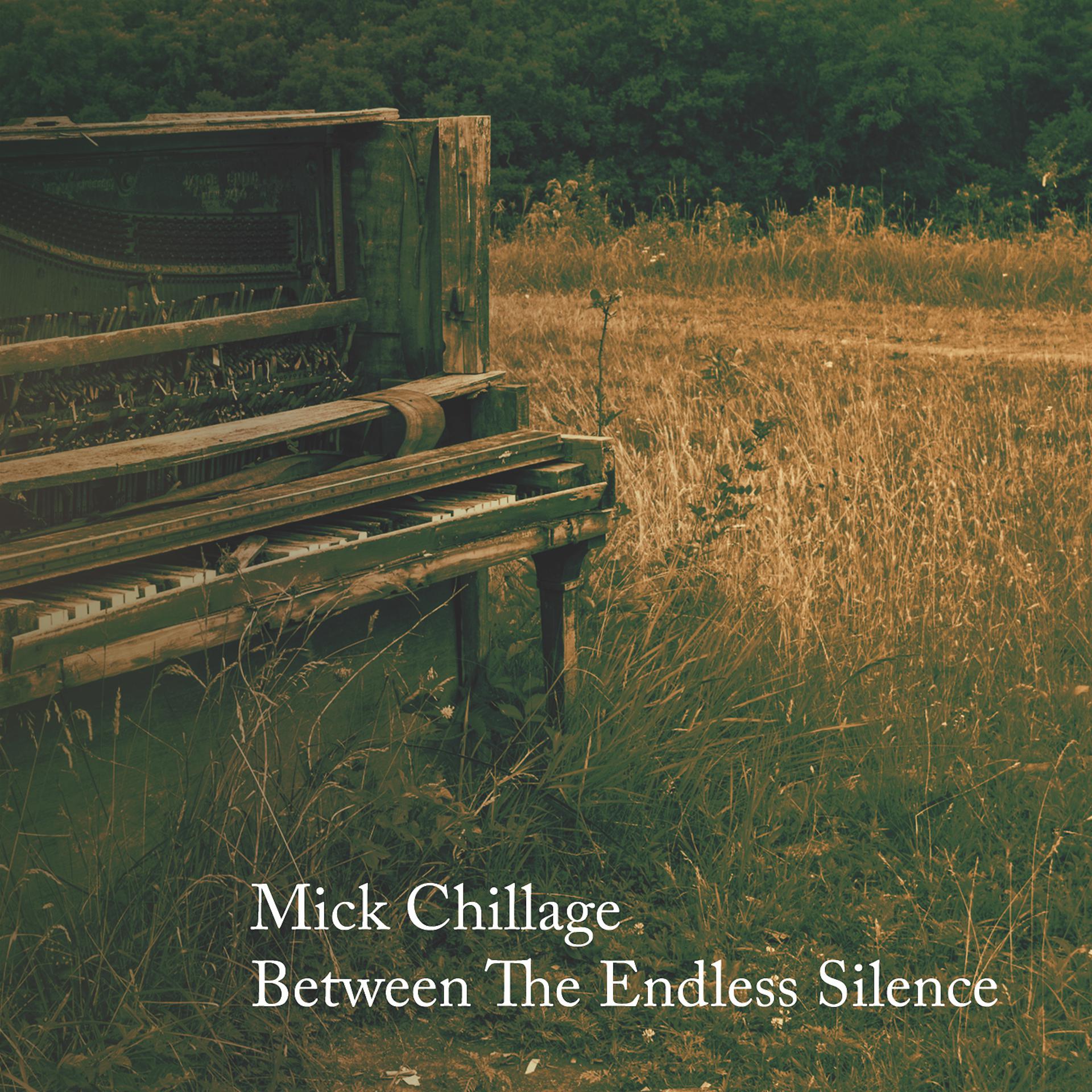 Постер альбома Between the Endless Silence