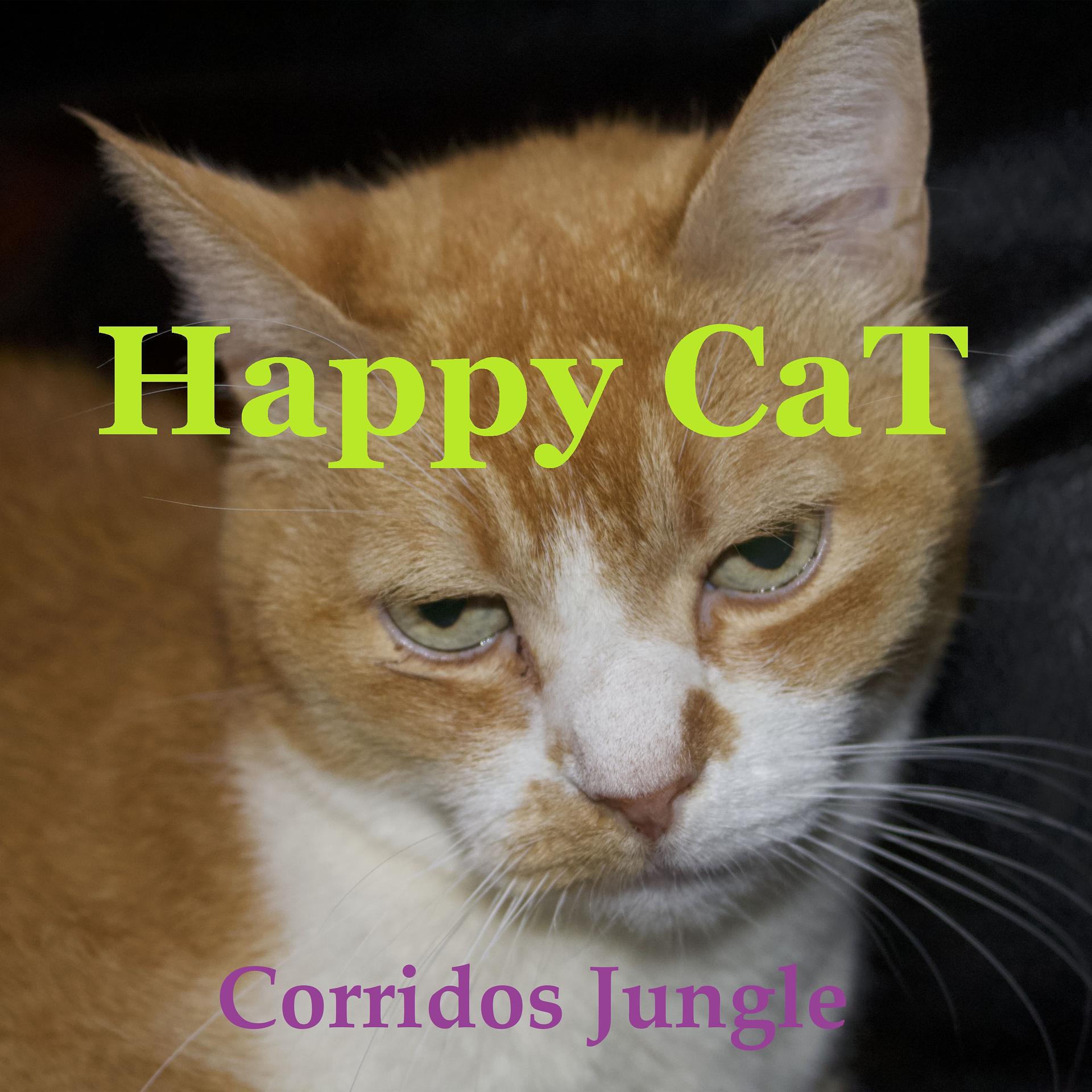 Постер альбома Corridos Jungle