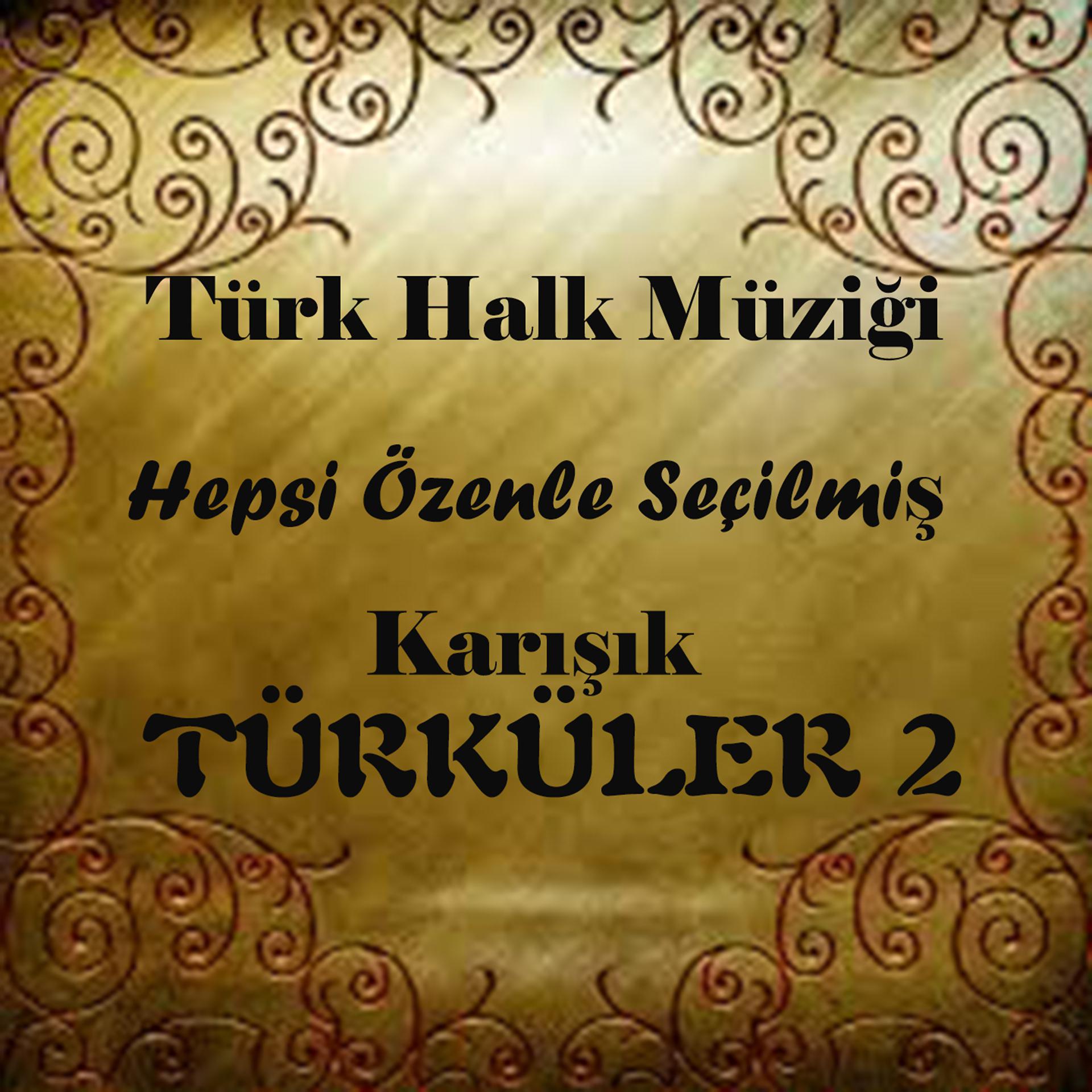 Постер альбома Türk Halk Müziği Hepsi Özenle Seçilmiş Karışık Türküler, Vol. 2