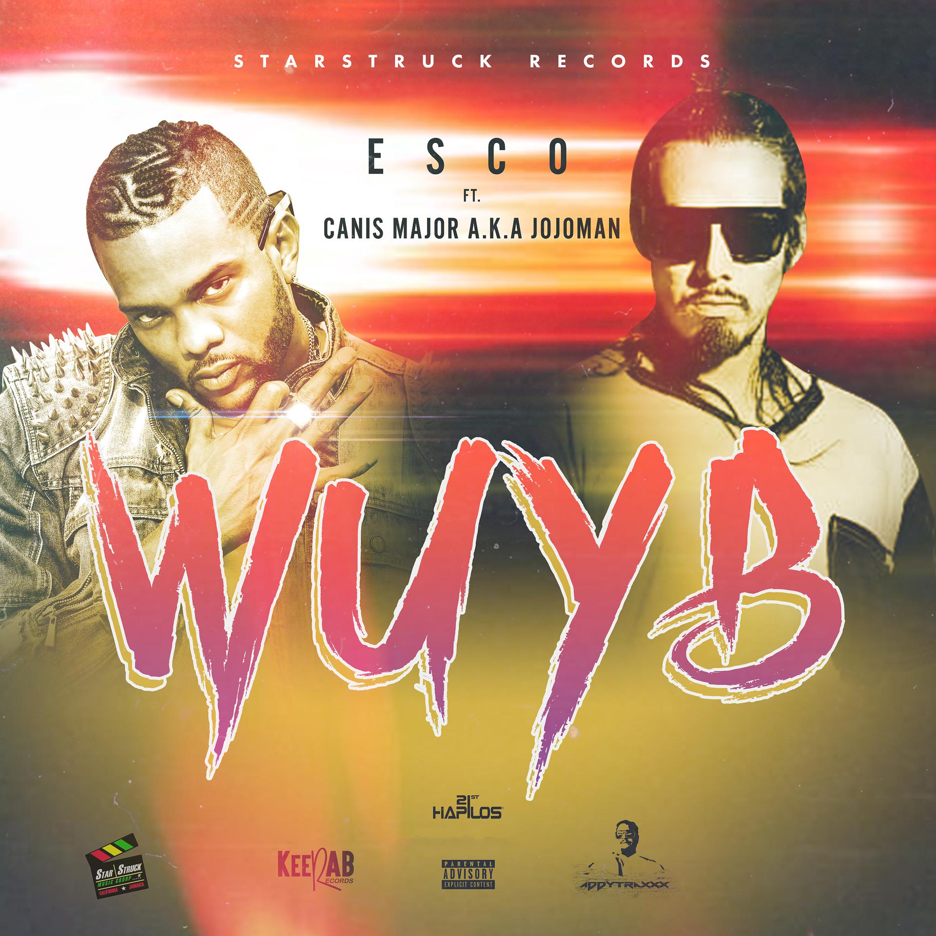 Постер альбома Wuyb
