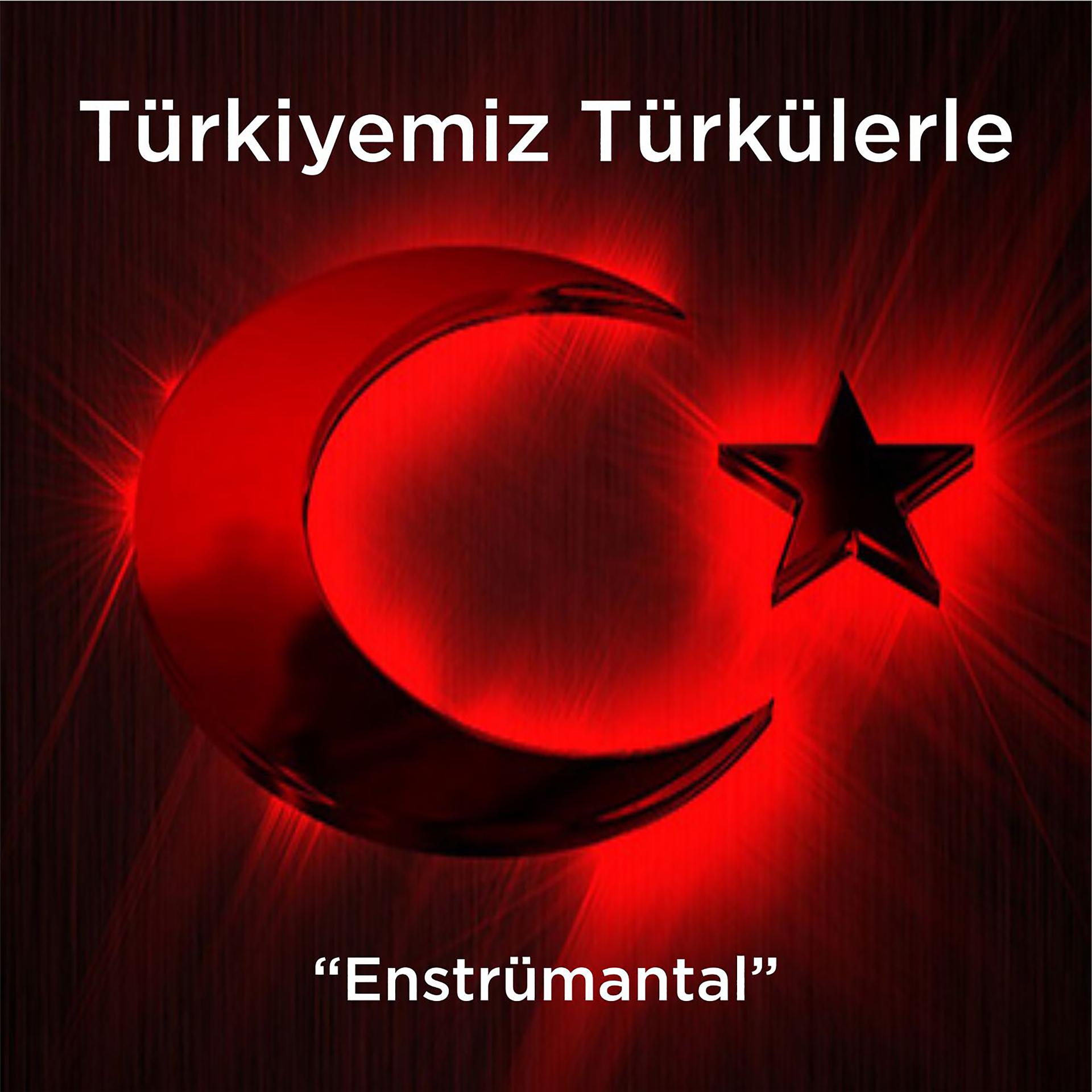 Постер альбома Türkiyemiz Türkülerle
