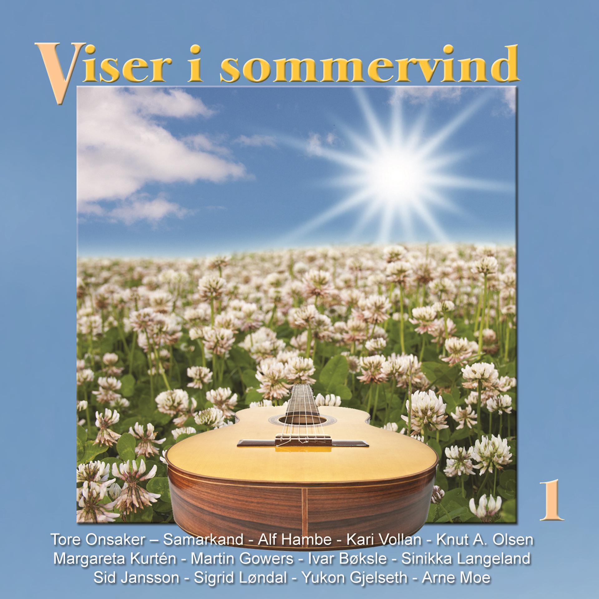 Постер альбома Viser I Sommervind 1