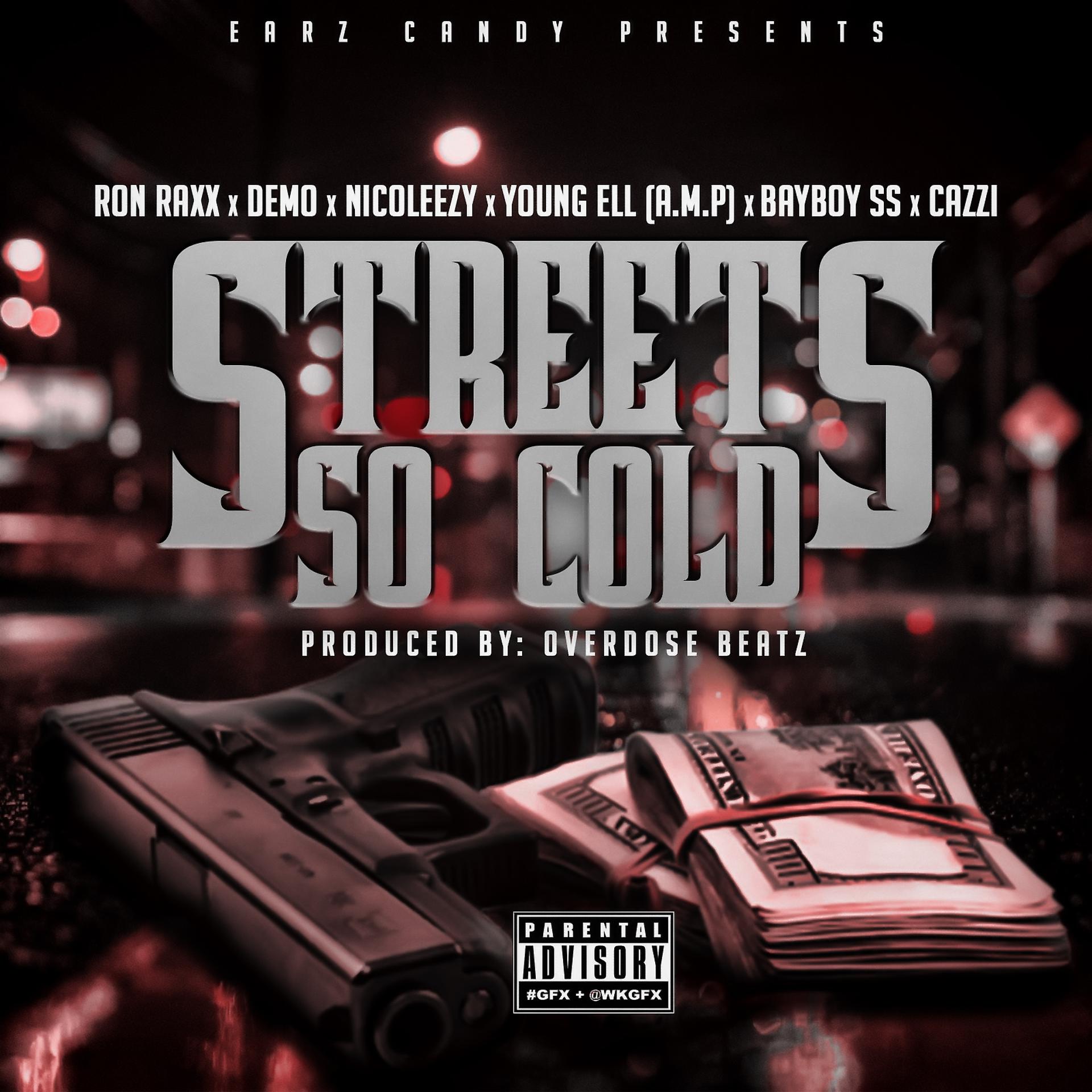 Постер альбома Streets So Cold (feat. Bad Boy SS, Demo, Cazzi, Young ELL & Nicoleezy)