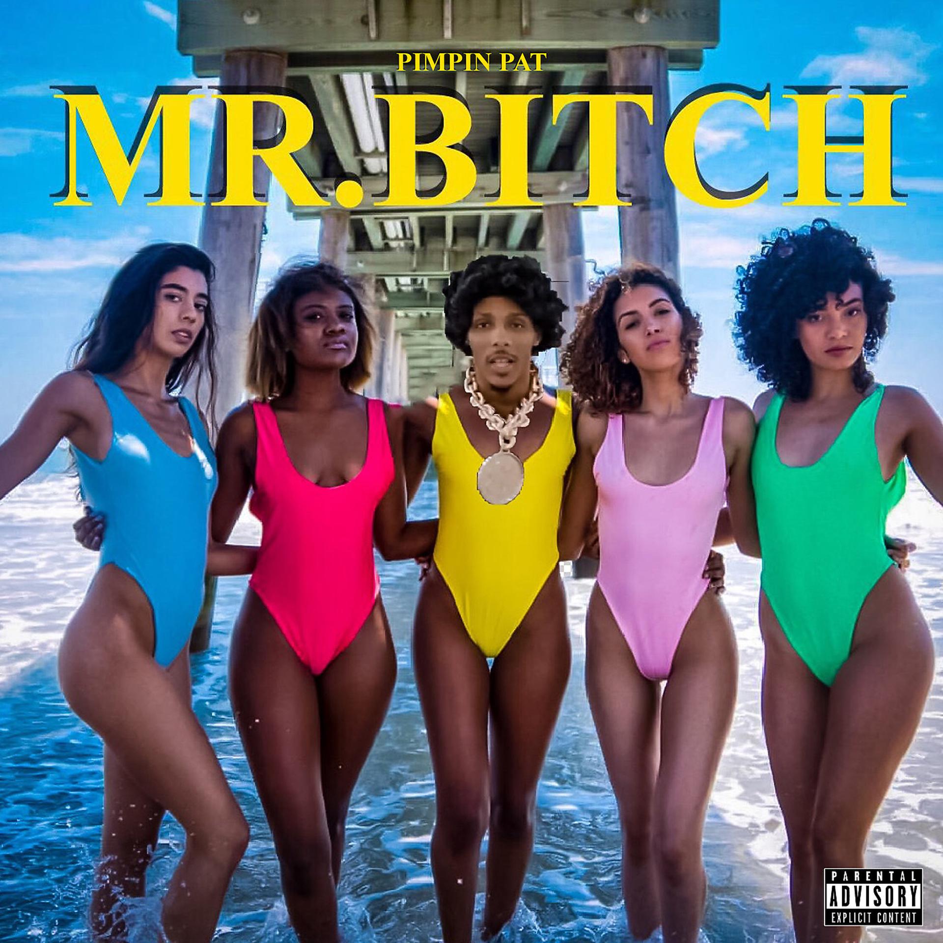Постер альбома Mr. Bitch