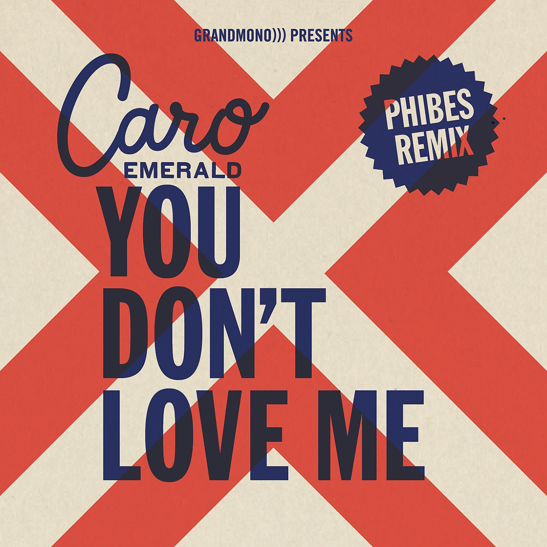 Постер альбома You Don't Love Me (Phibes Remix)