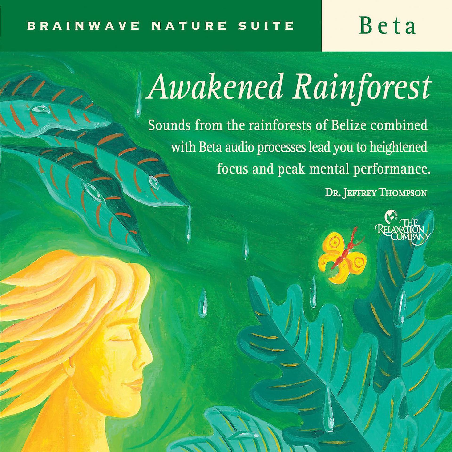 Постер альбома Awakened Rainforest