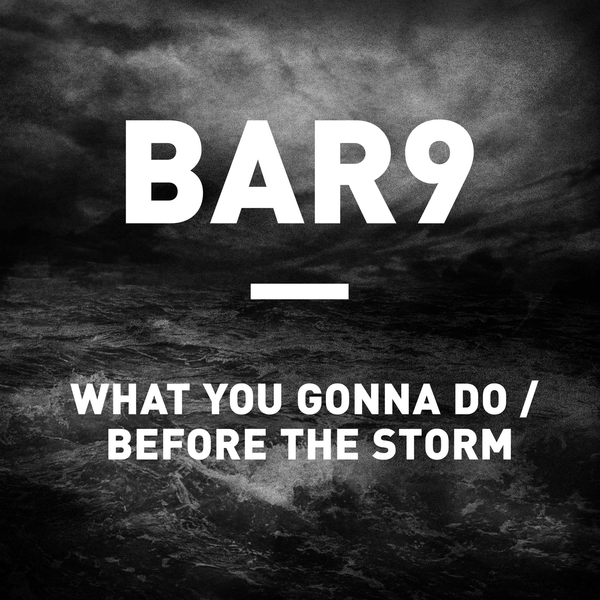 Постер альбома What You Gonna Do / Before the Storm