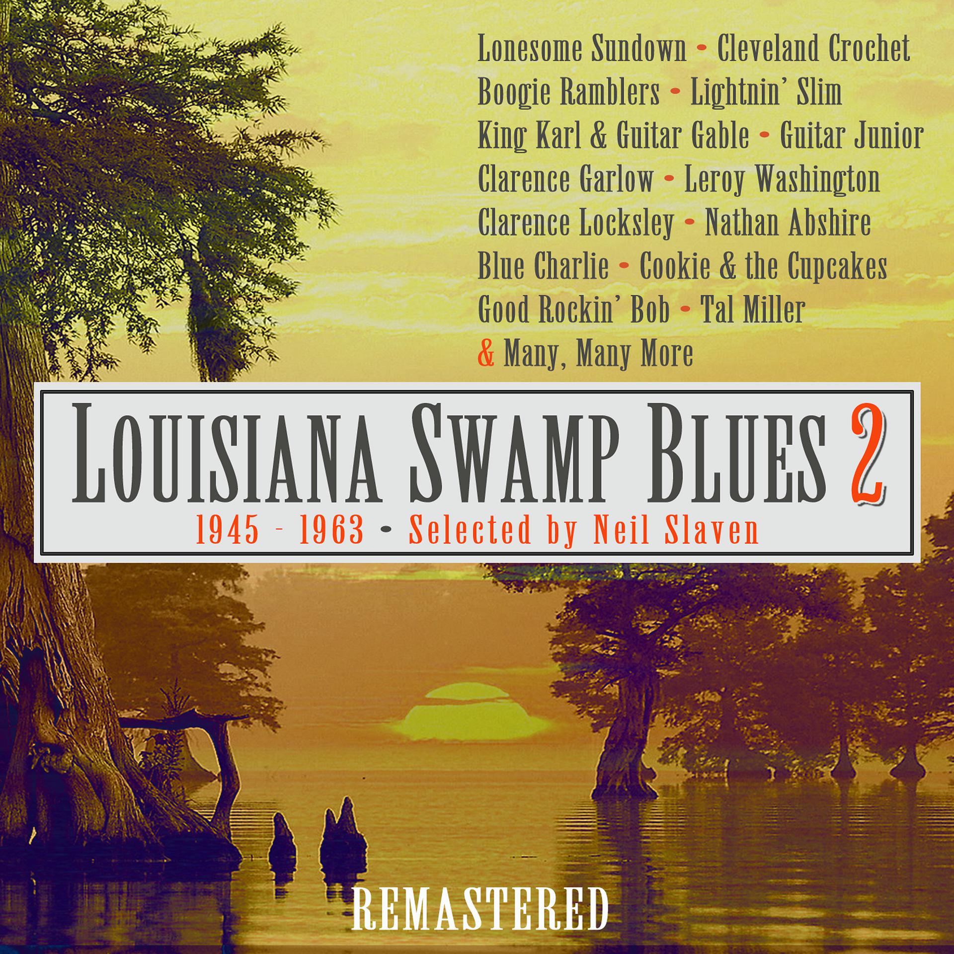 Постер альбома Swamp Blues 2