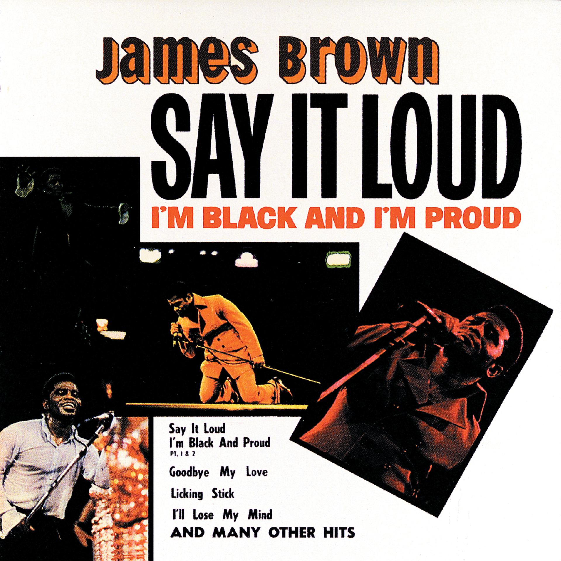 Постер альбома Say It Loud - I'm Black And I'm Proud