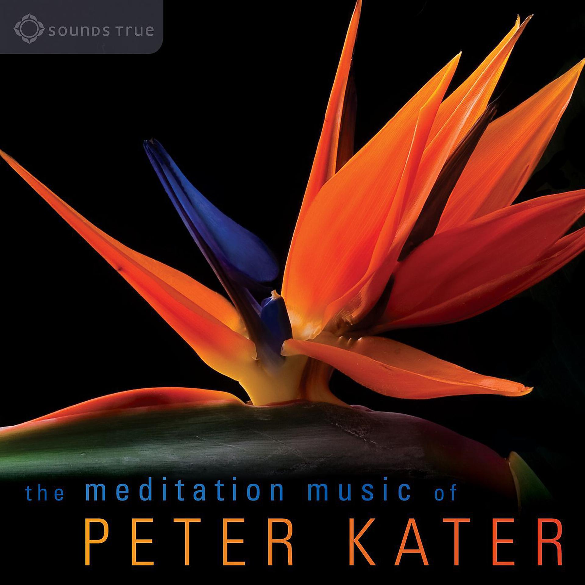 Постер альбома The Meditation Music of Peter Kater: Evocative, expressive instrumental music for meditation