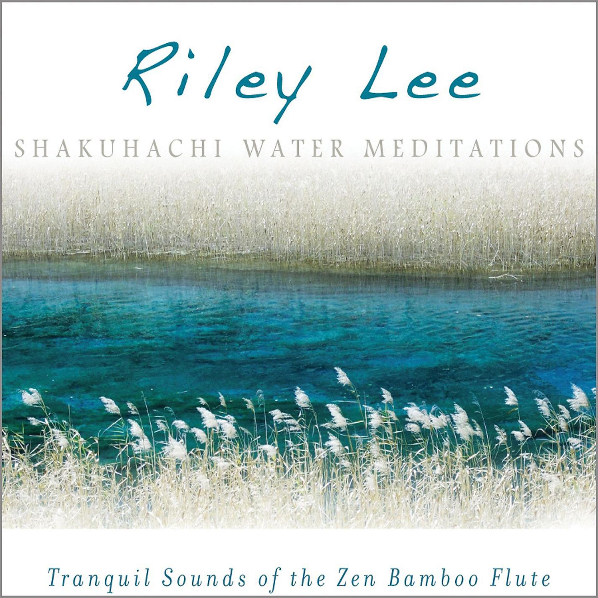 Постер альбома Shakuhachi Water Meditations