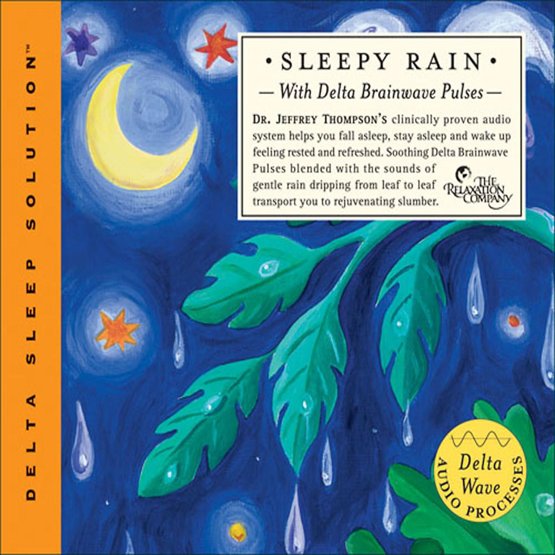 Постер альбома Sleepy Rain (Delta Sleep Solution)