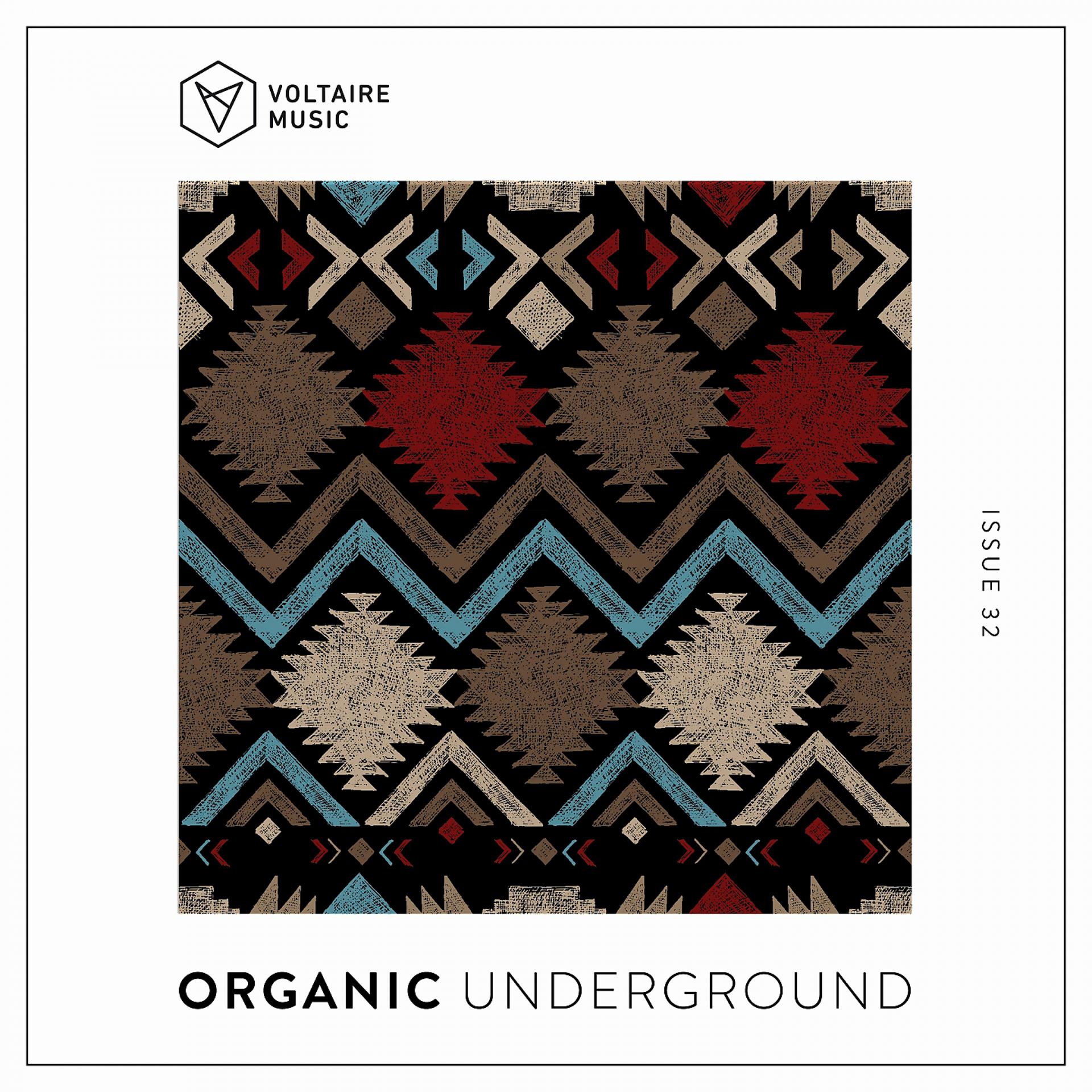 Постер альбома Organic Underground Issue 32
