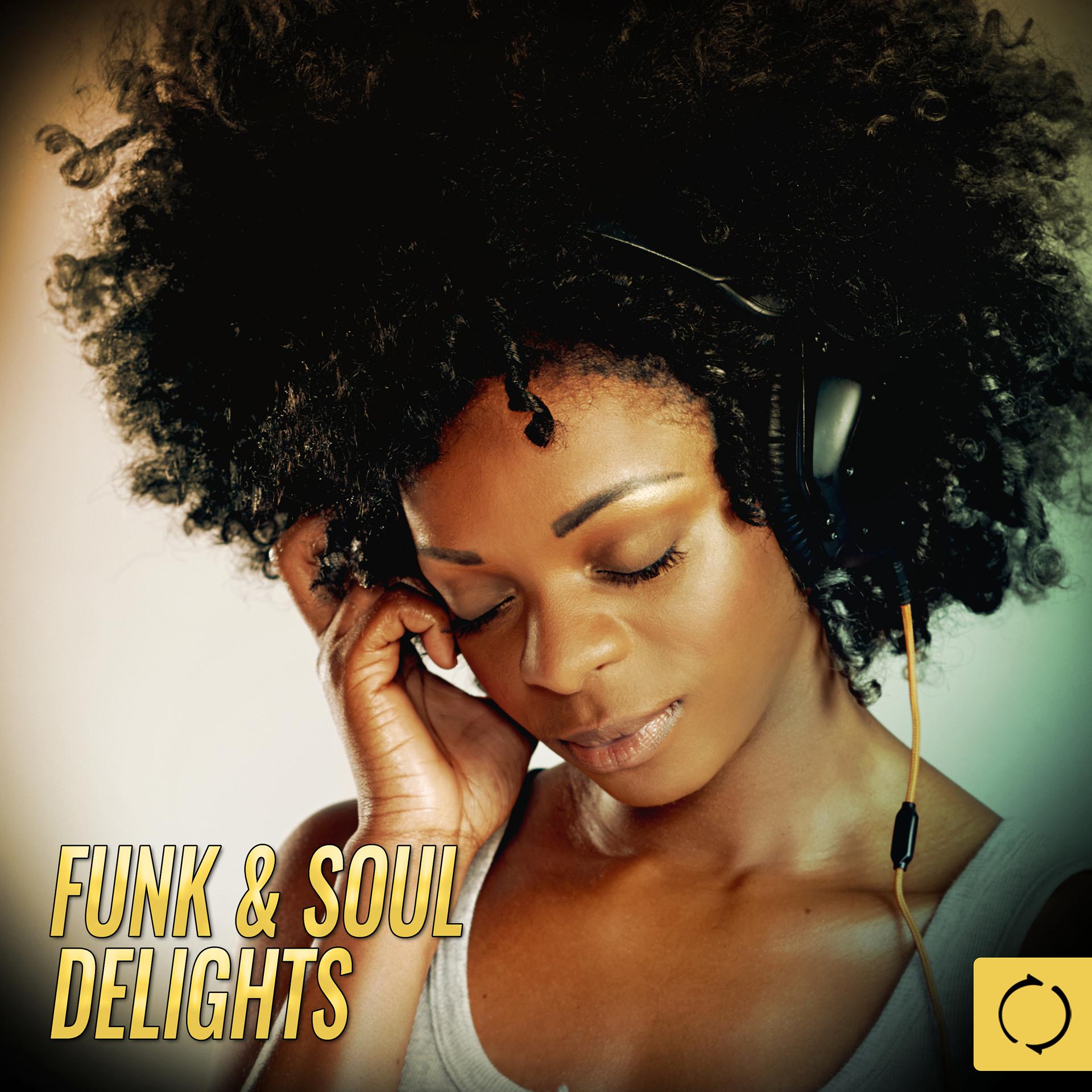 Постер альбома Funk & Soul Delights