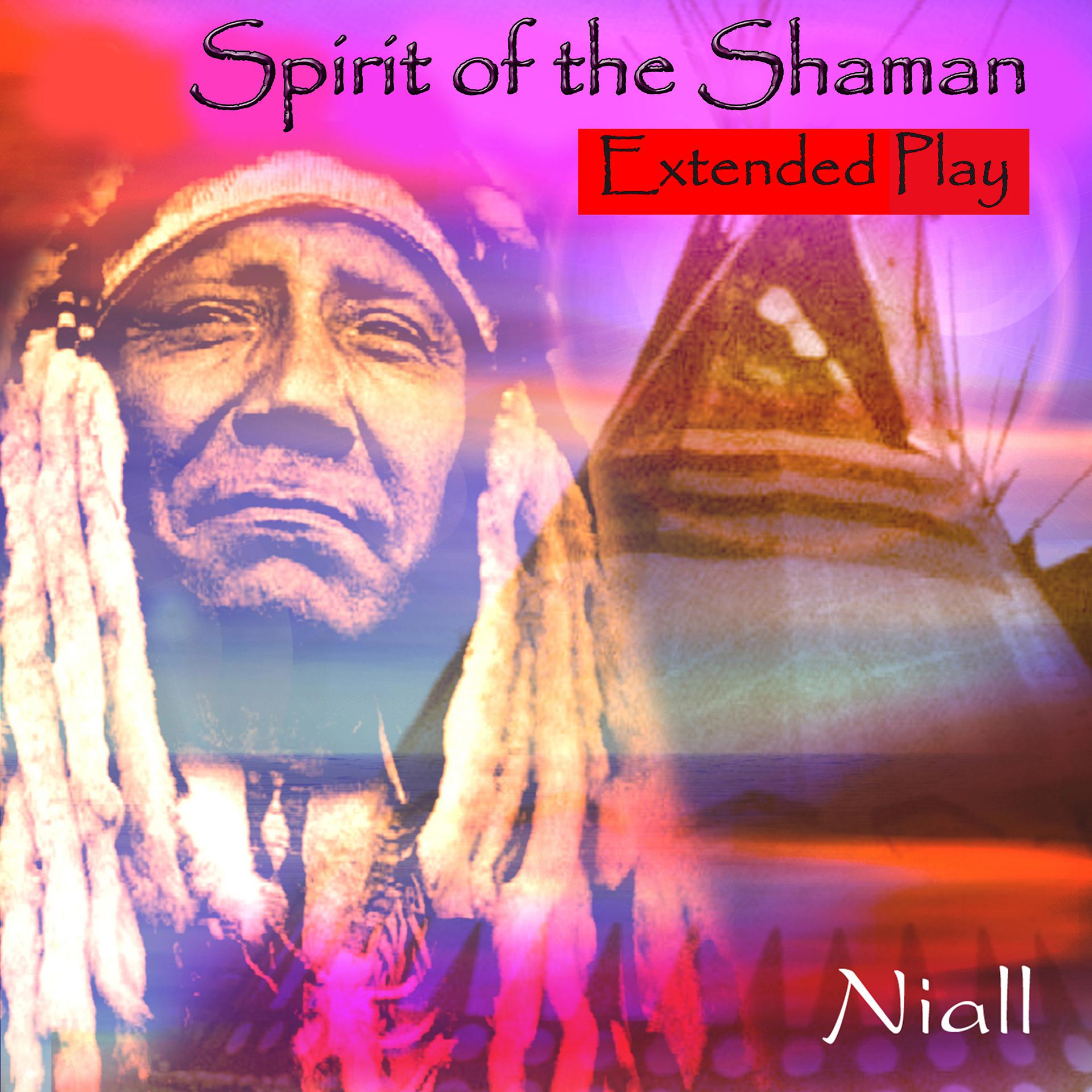 Постер альбома Spirit of the Shaman