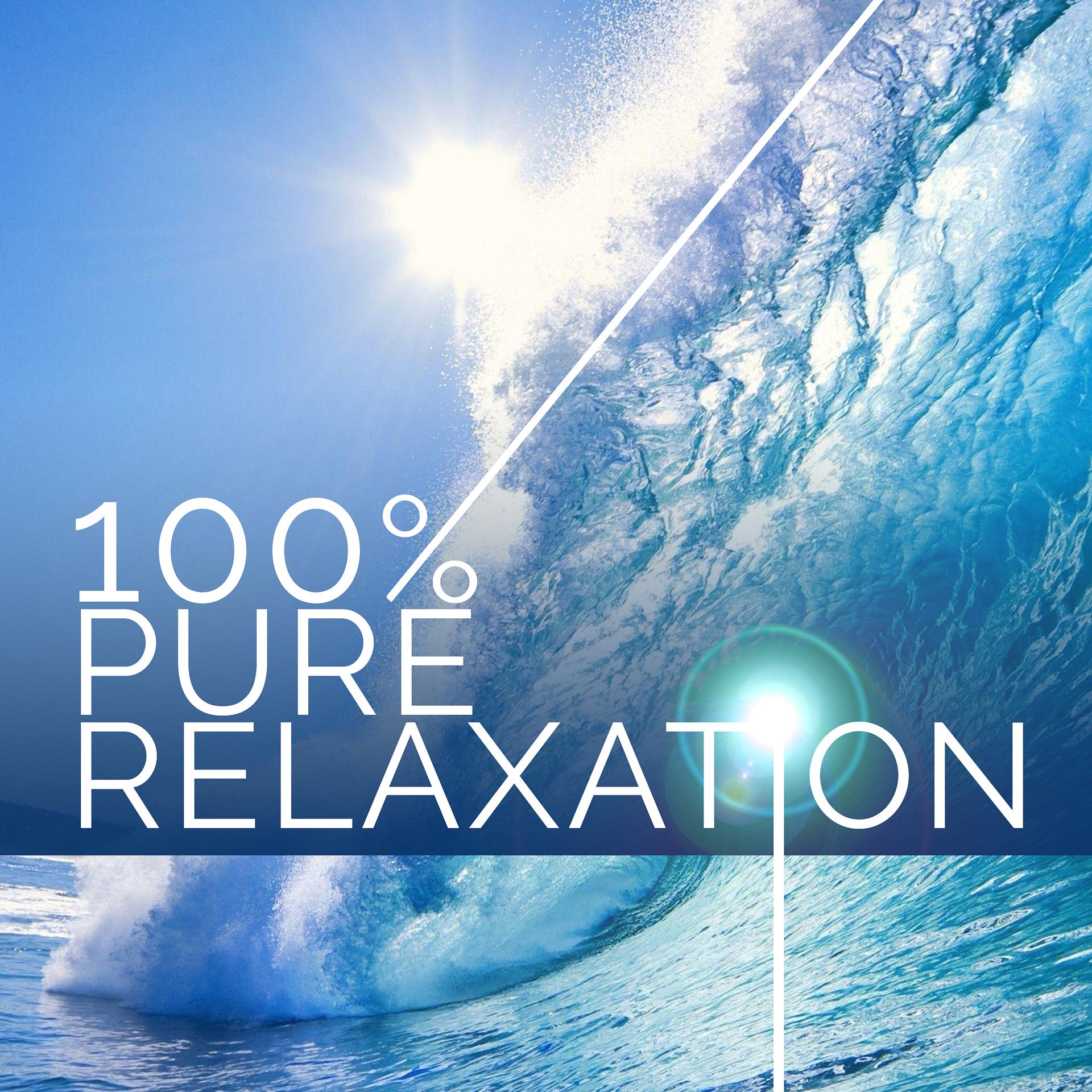 Постер альбома 100% Pure Relaxation