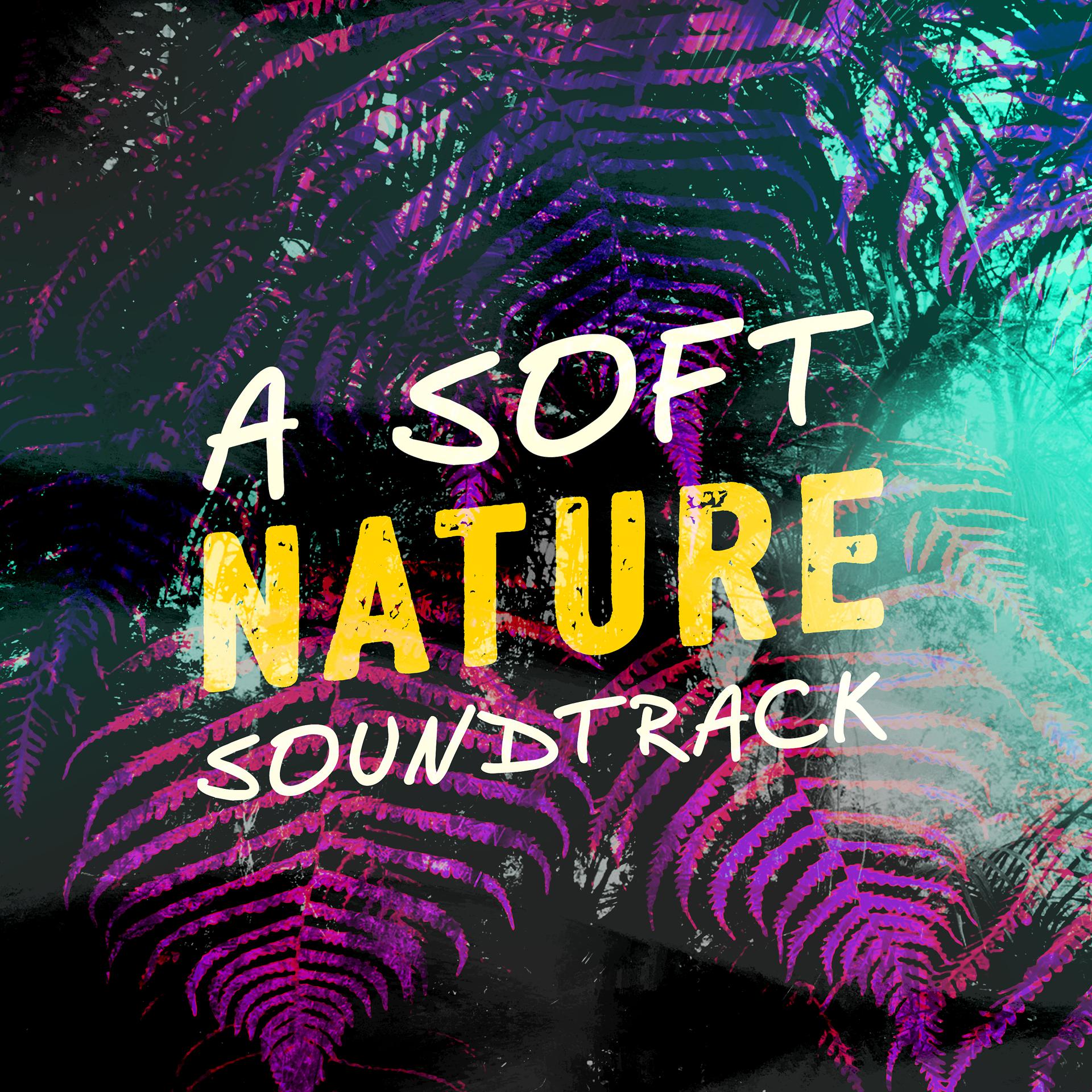 Постер альбома A Soft Nature Soundtrack