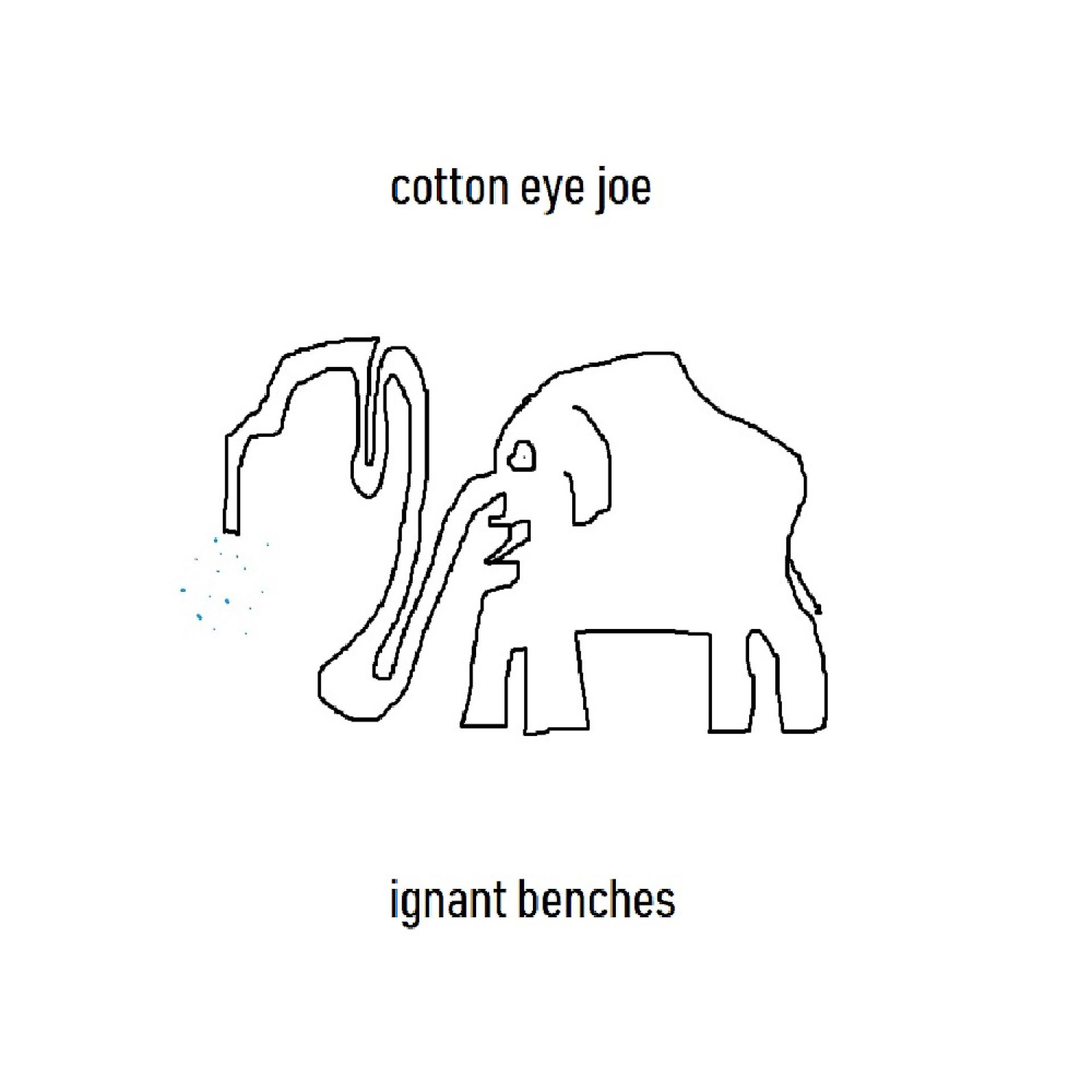 Постер альбома cotton eye joe
