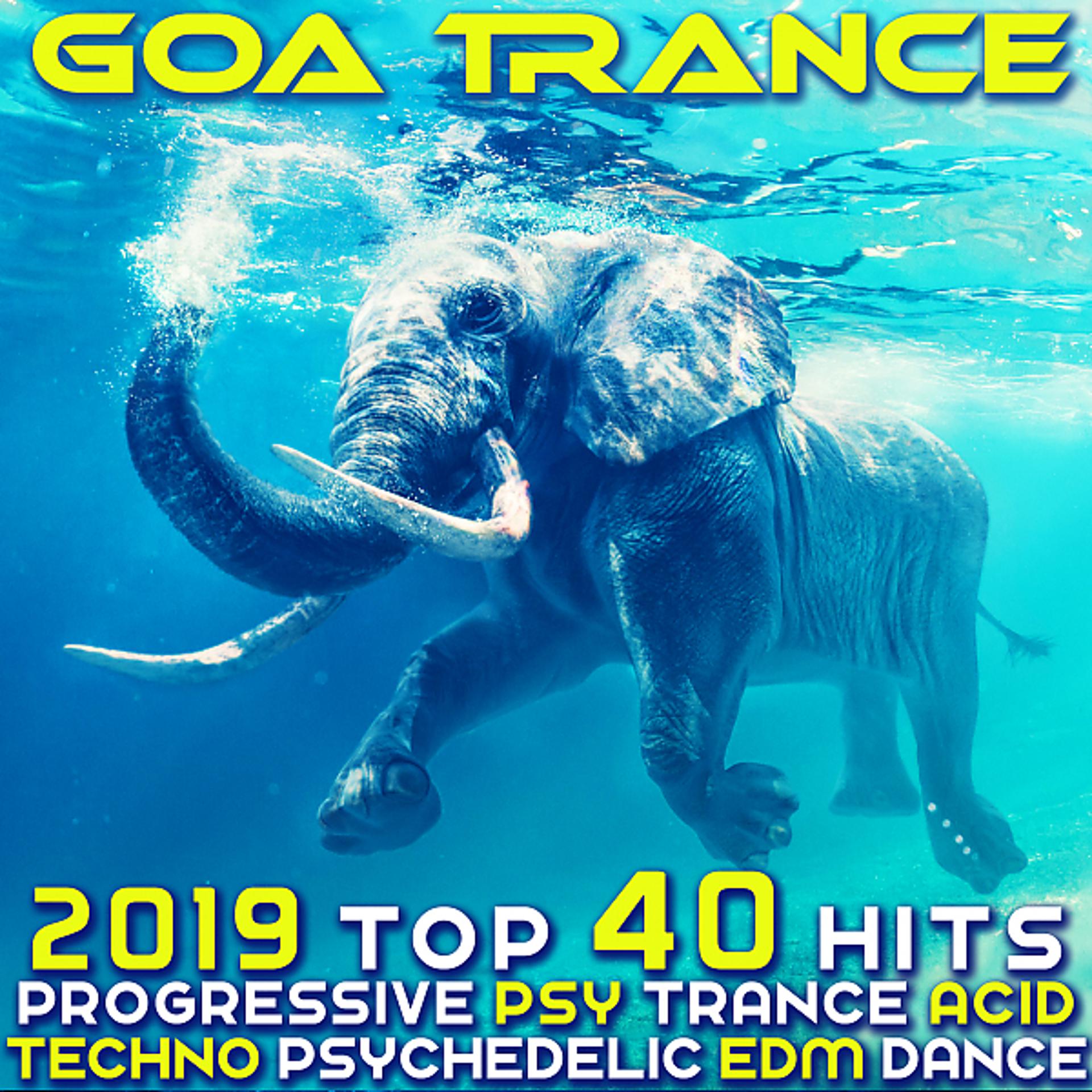 Постер альбома Goa Trance 2019 - Top 40 Hits Best of Progressive PsyTrance Acid Techno Psychedelic EDM Dance
