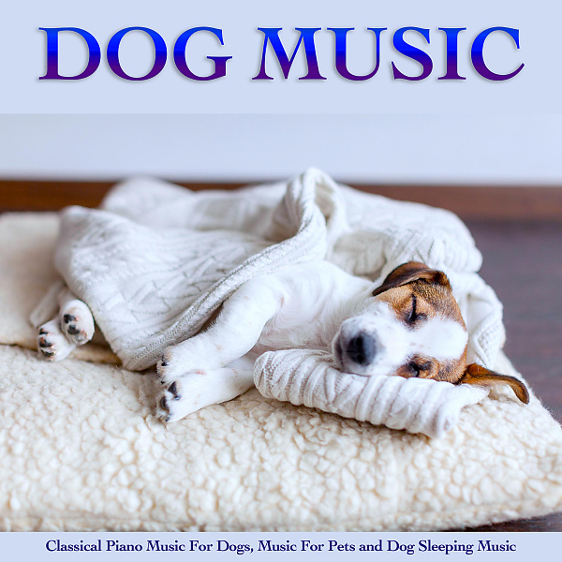 Постер альбома Dog Music: Classical Piano Music For Dogs, Music For Pets and Dog Sleeping Music