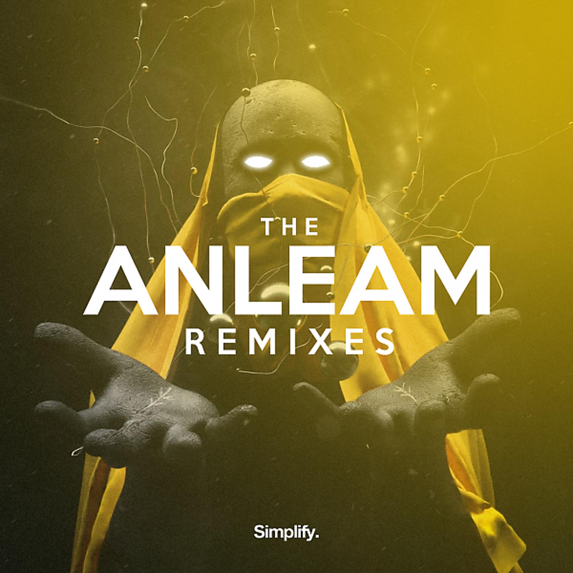 Постер альбома The Anleam Remixes