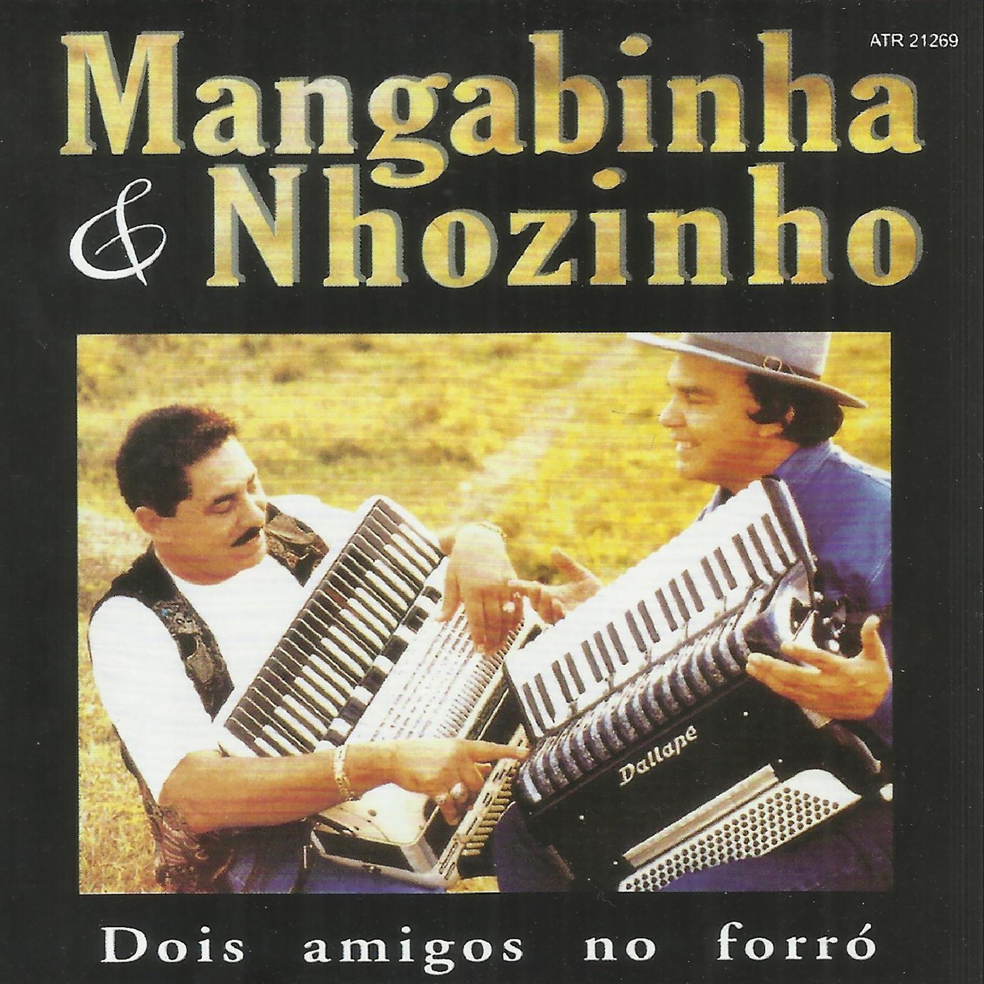 Постер альбома Dois Amigos No Forró
