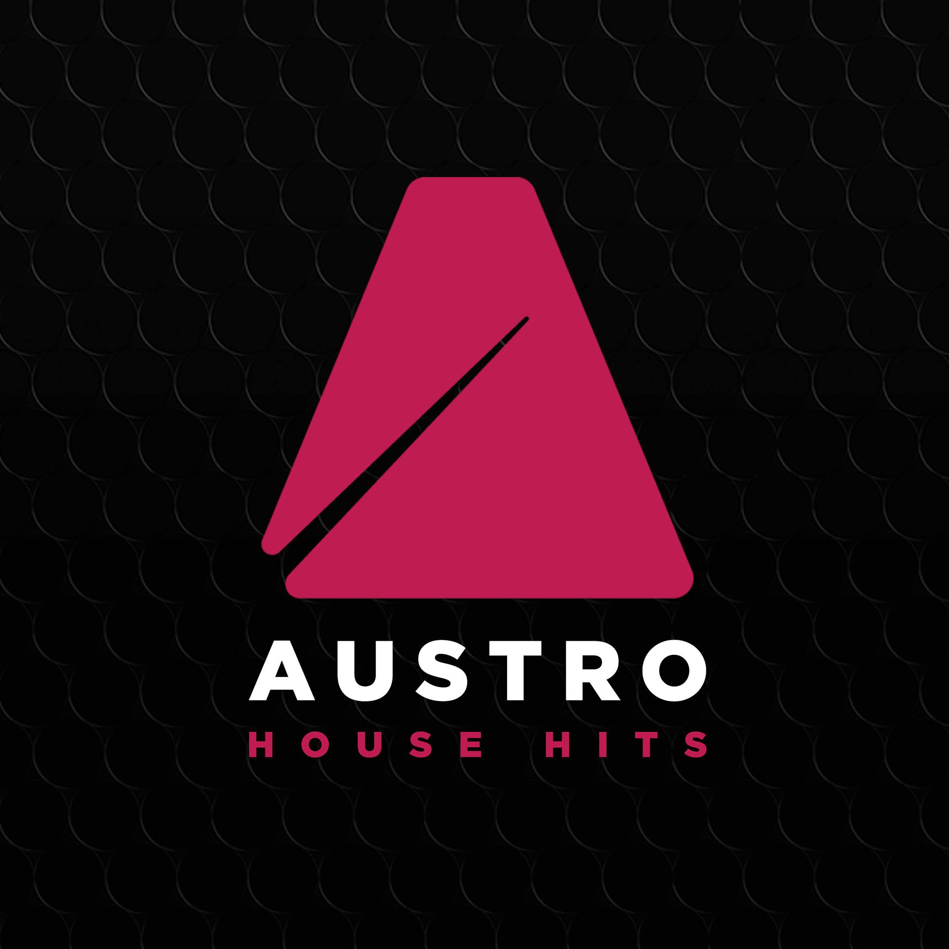 Постер альбома Austro House Hits 2017
