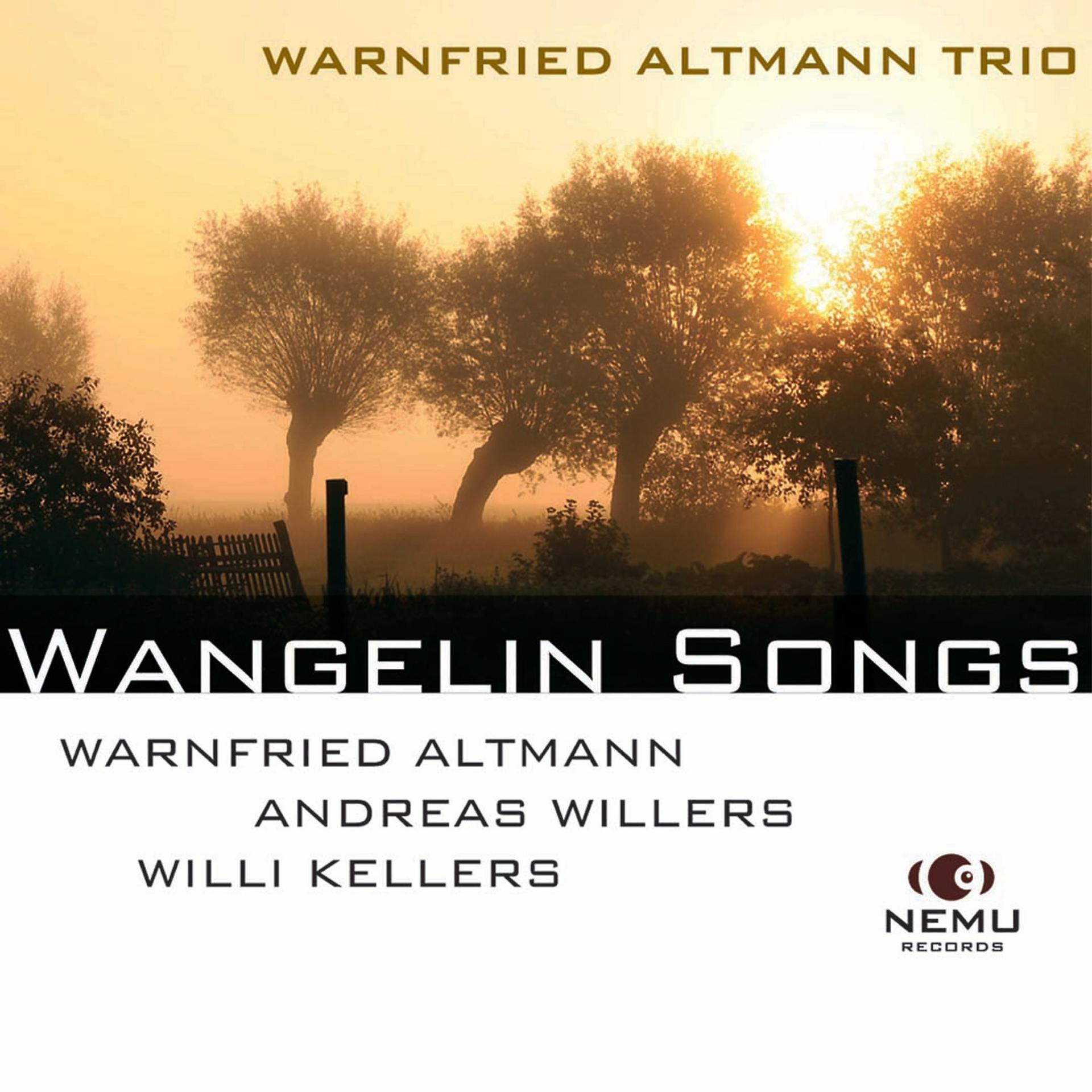 Постер альбома Wangelin Songs