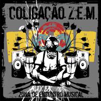 Постер альбома Zona de Encontro Musical