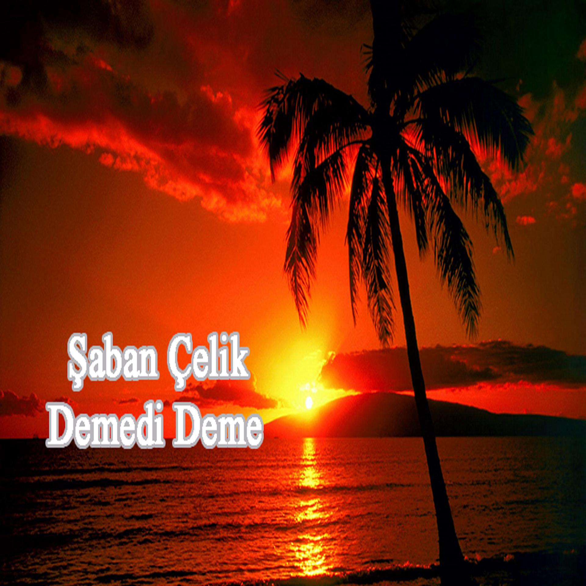 Постер альбома Demedi Deme