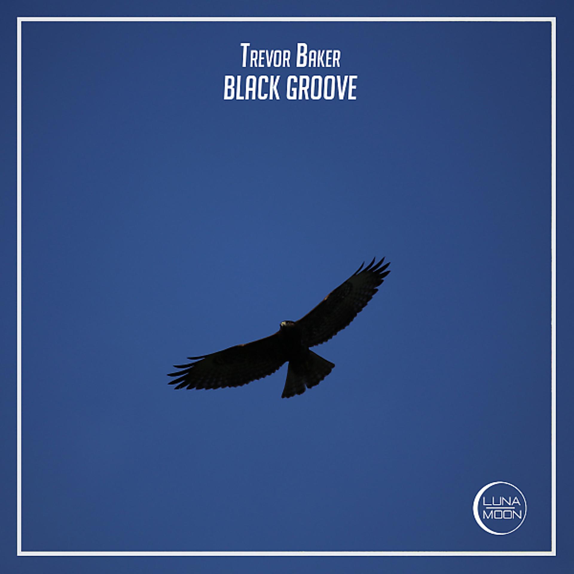 Постер альбома Black Groove