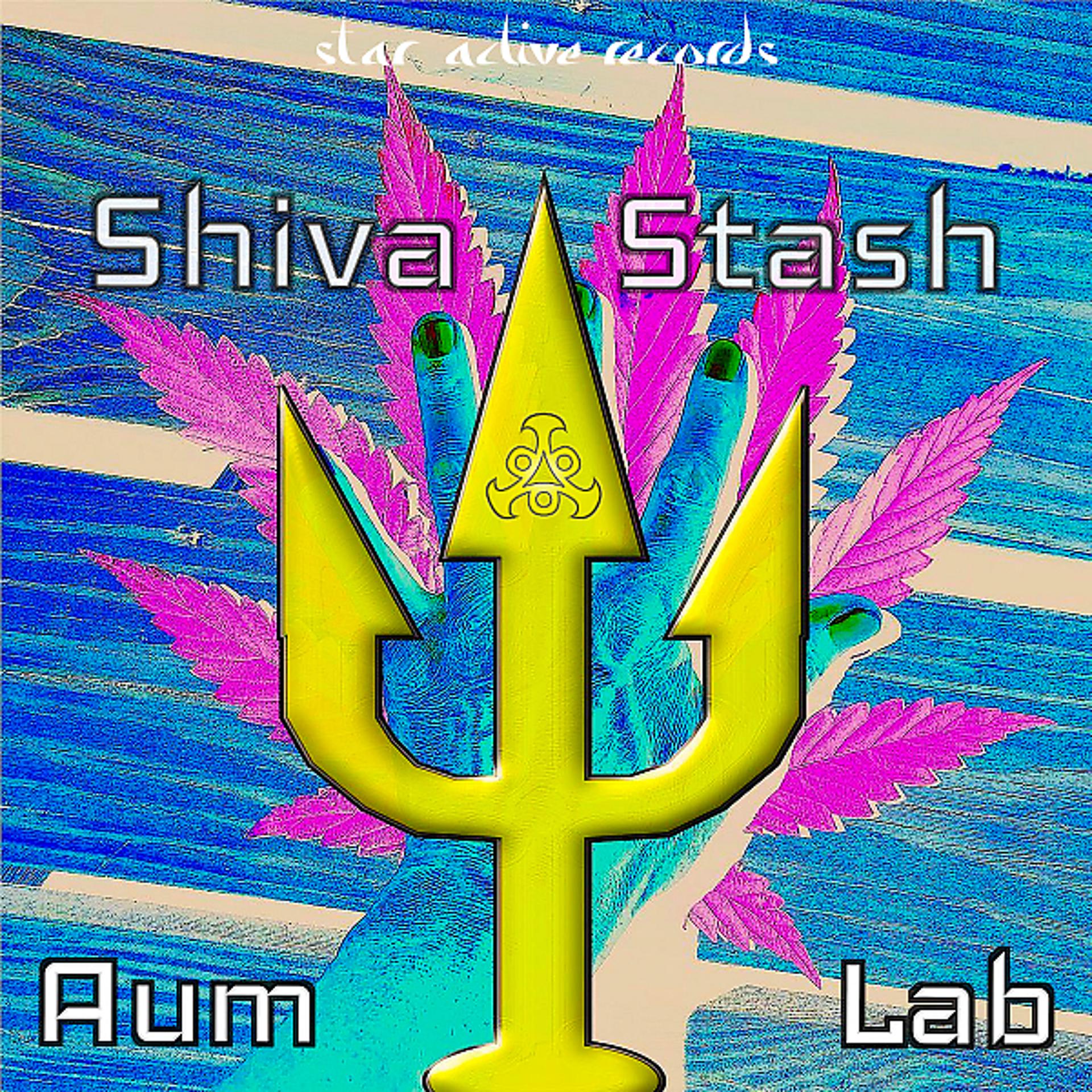 Постер альбома Shiva Stash
