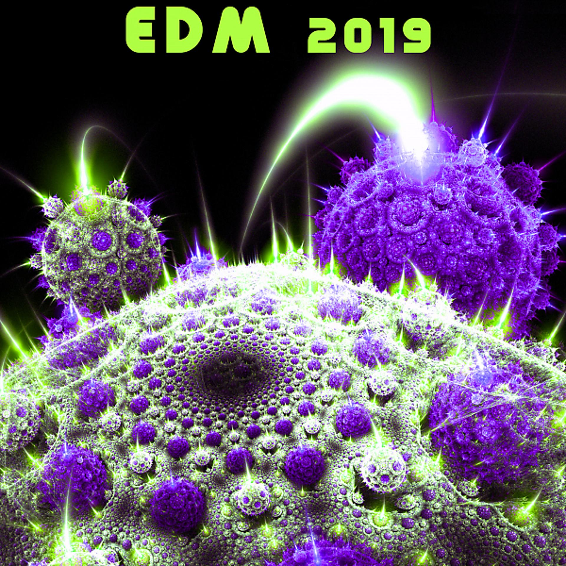 Постер альбома EDM 2019