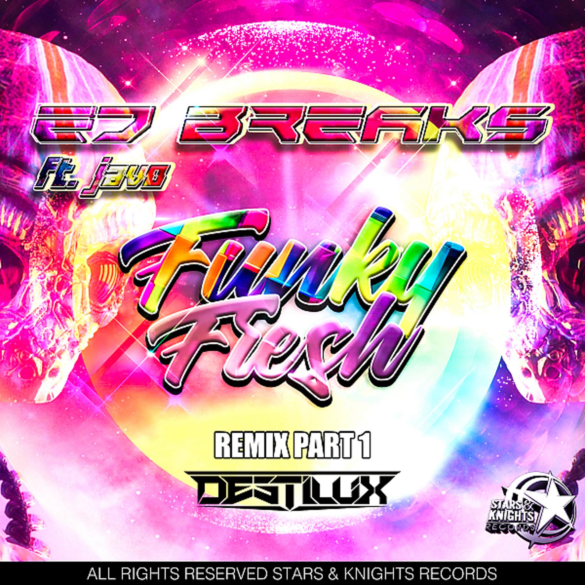 Постер альбома Funky Fresh Remix (feat. Javo Scratch) [Destilux Remix]
