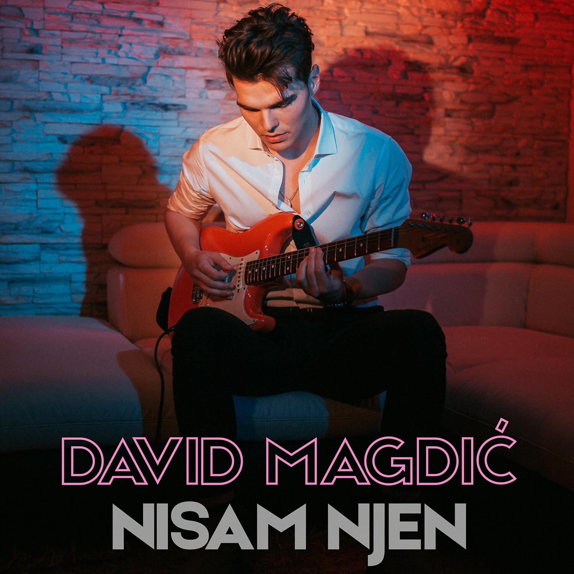 Постер альбома Nisam Njen