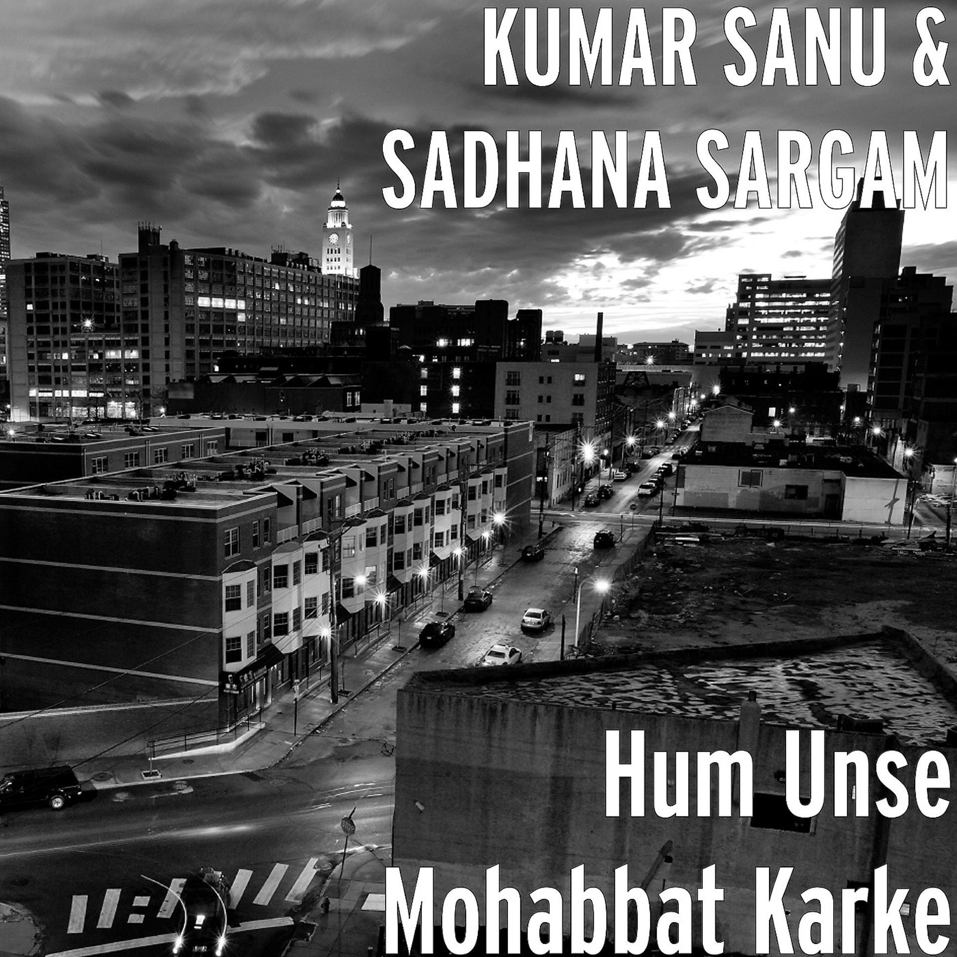 Постер альбома Hum Unse Mohabbat Karke