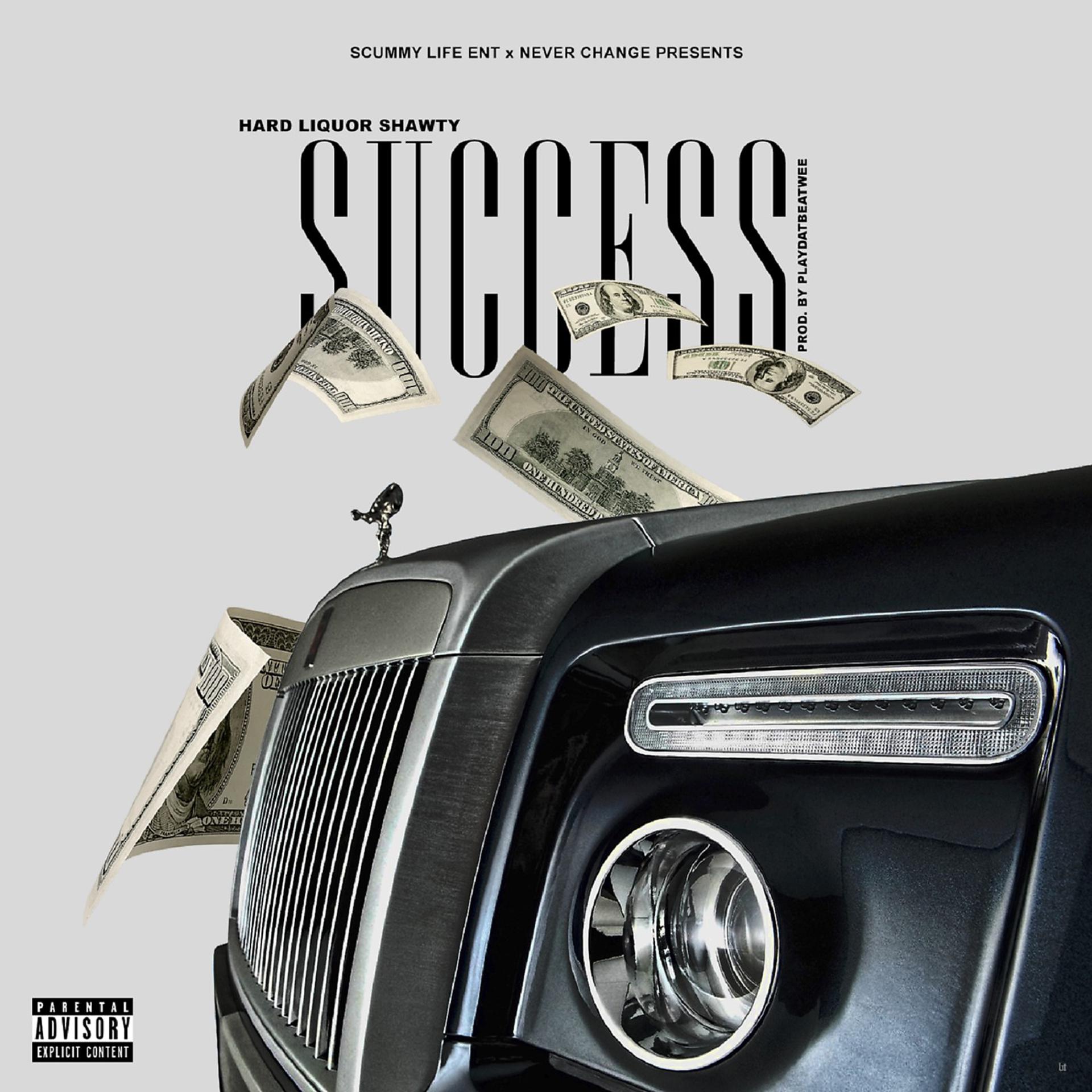 Постер альбома Success