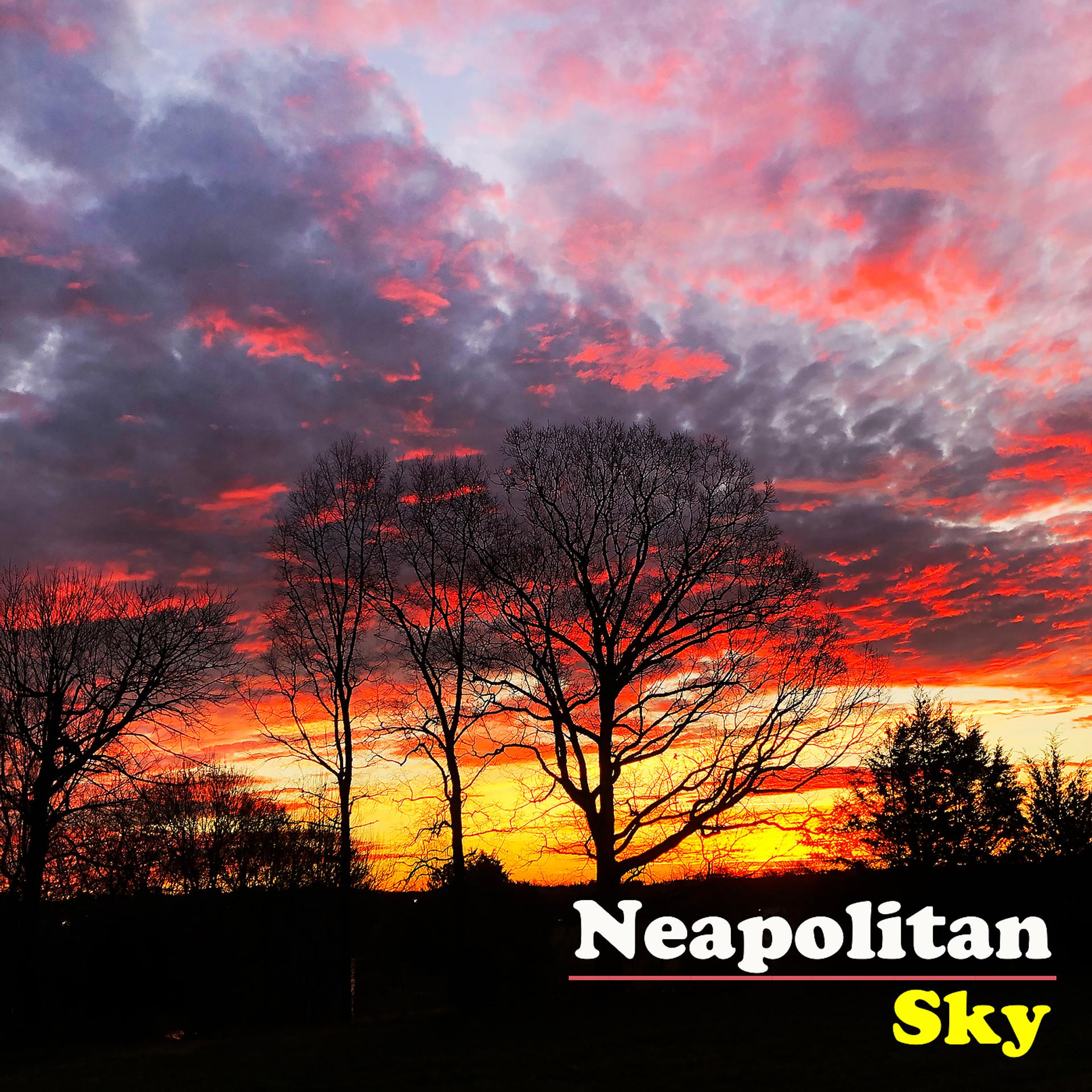 Постер альбома Neapolitan Sky