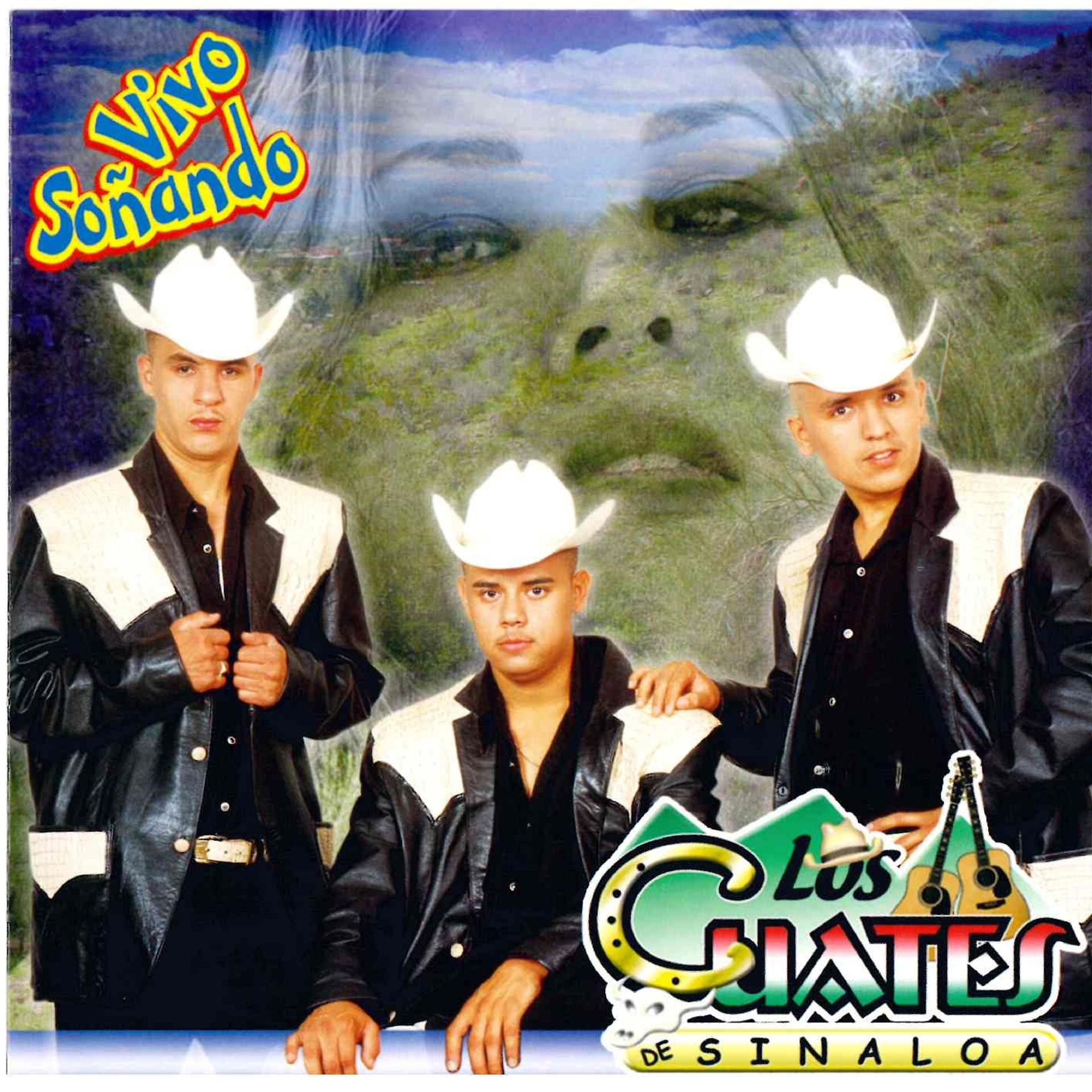 Постер альбома Vivo Sonando