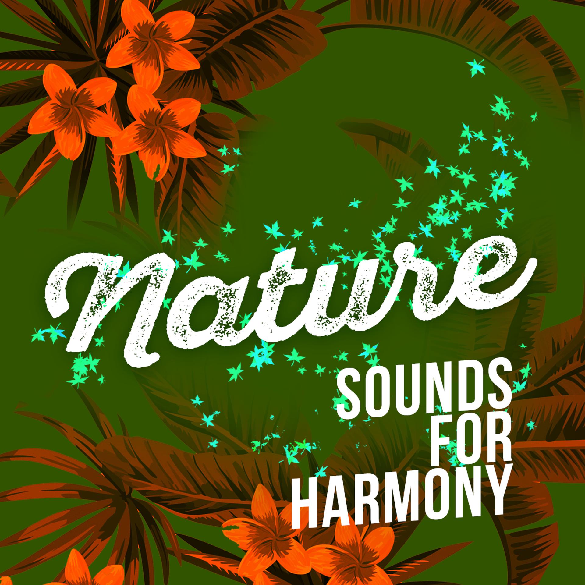 Постер альбома Nature Sounds for Harmony