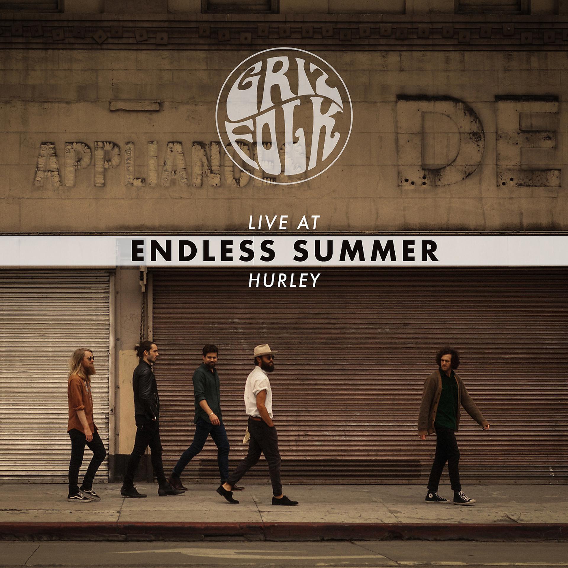 Постер альбома Endless Summer (Live at Hurley)
