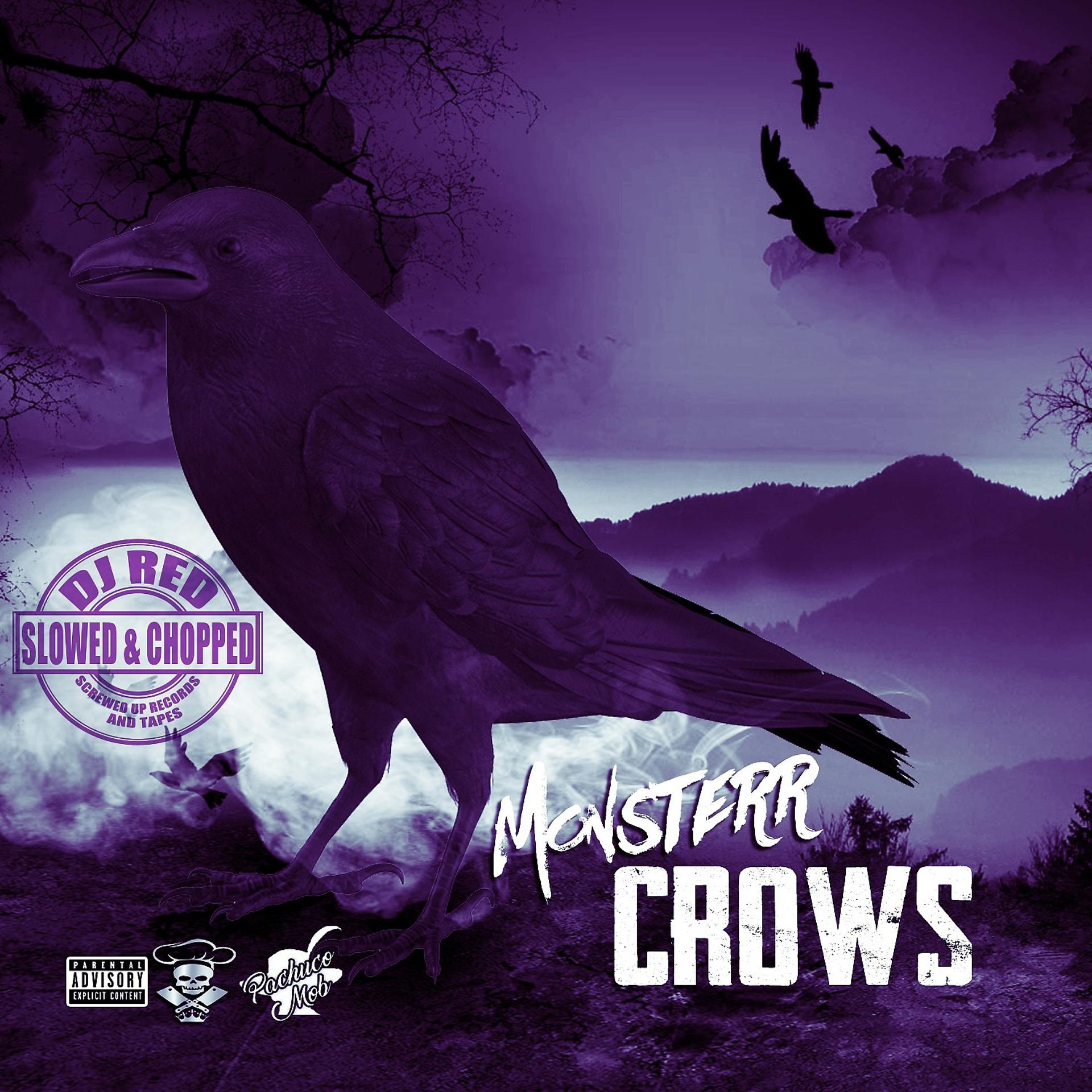 Постер альбома Crows (Slowed & Chopped)