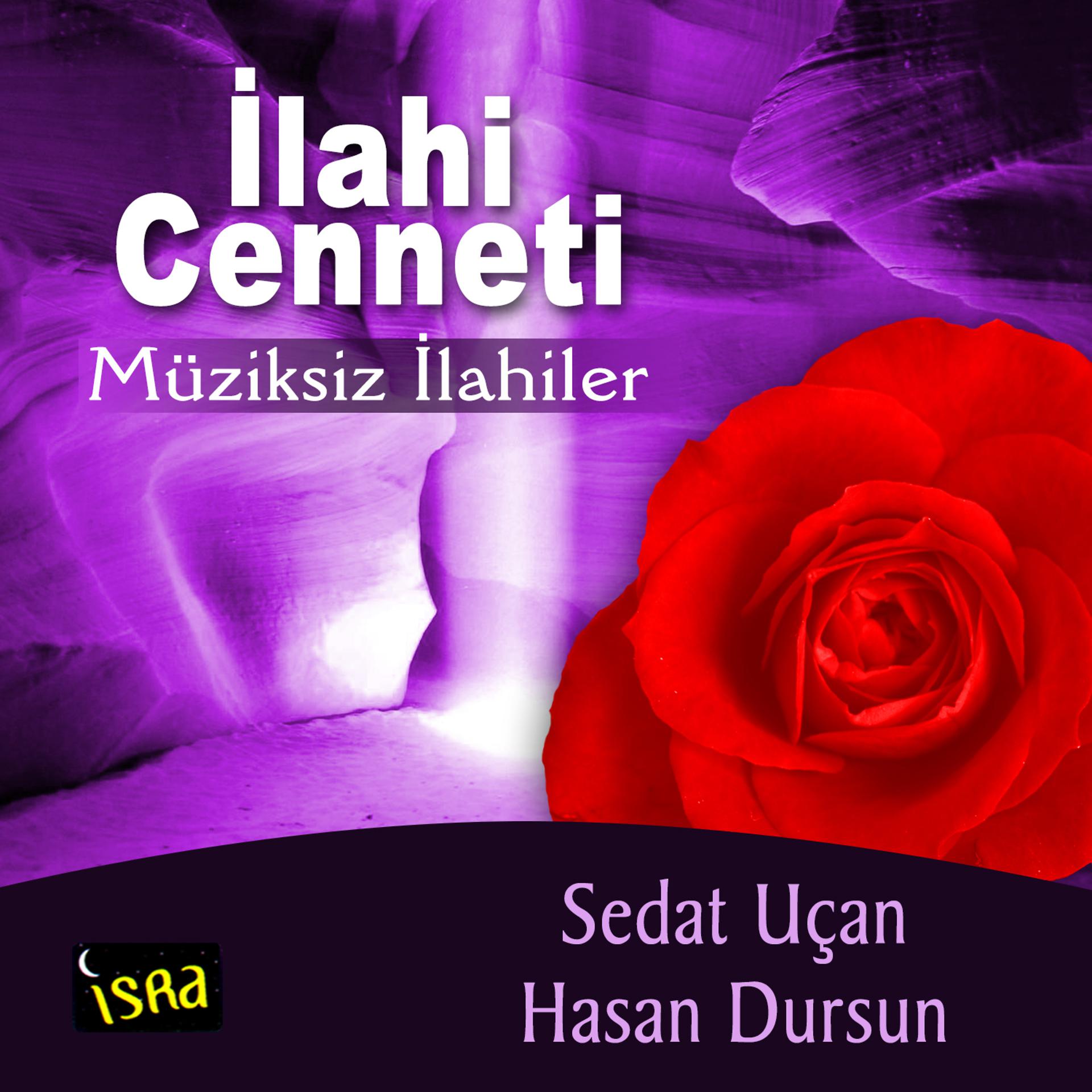 Постер альбома İlahi Cenneti Müziksiz İlahiler