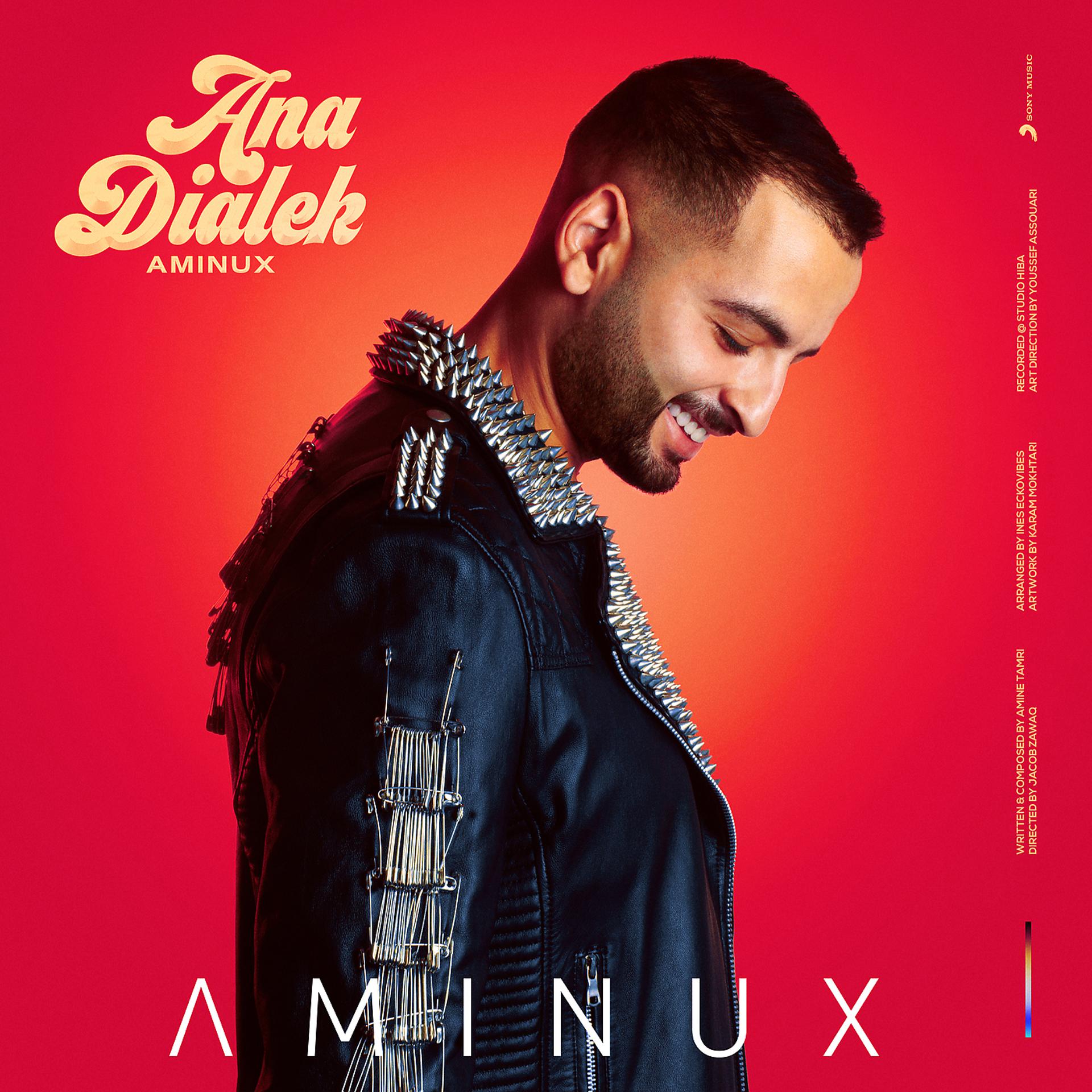 Постер к треку AMINUX - Ana Dialek