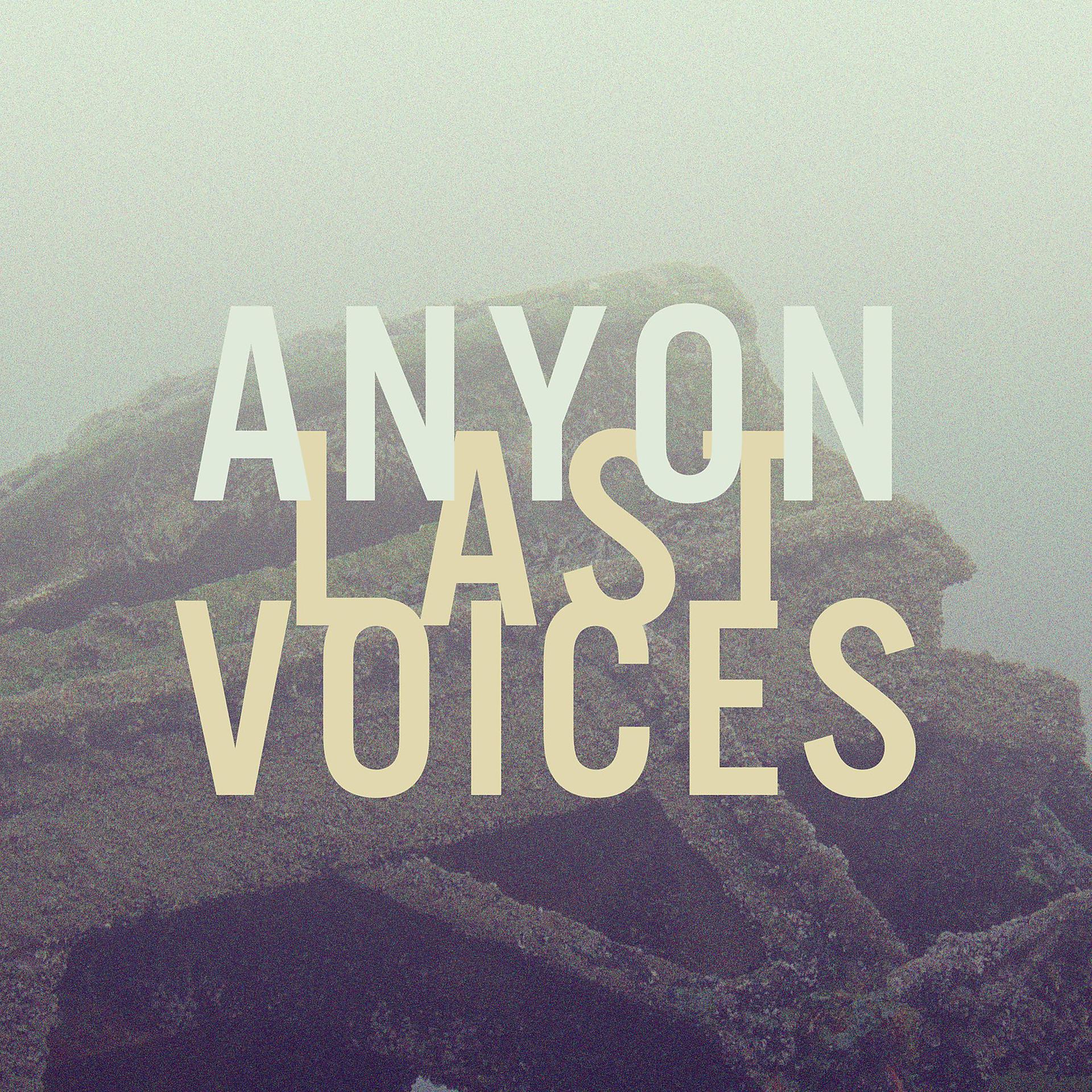 Постер альбома Last Voices