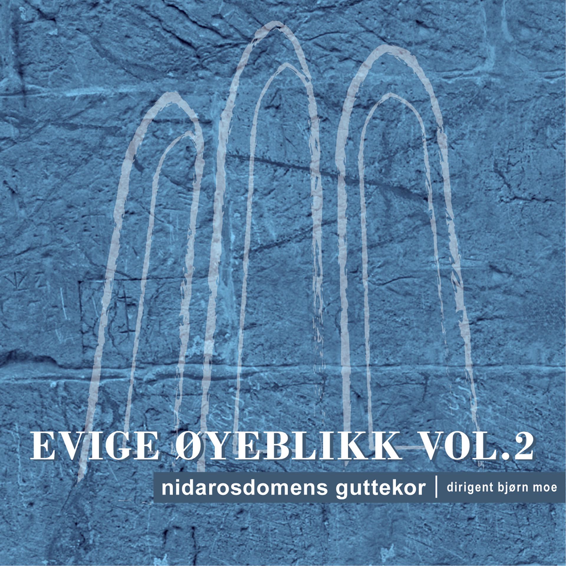 Постер альбома Evige Øyeblikk 2